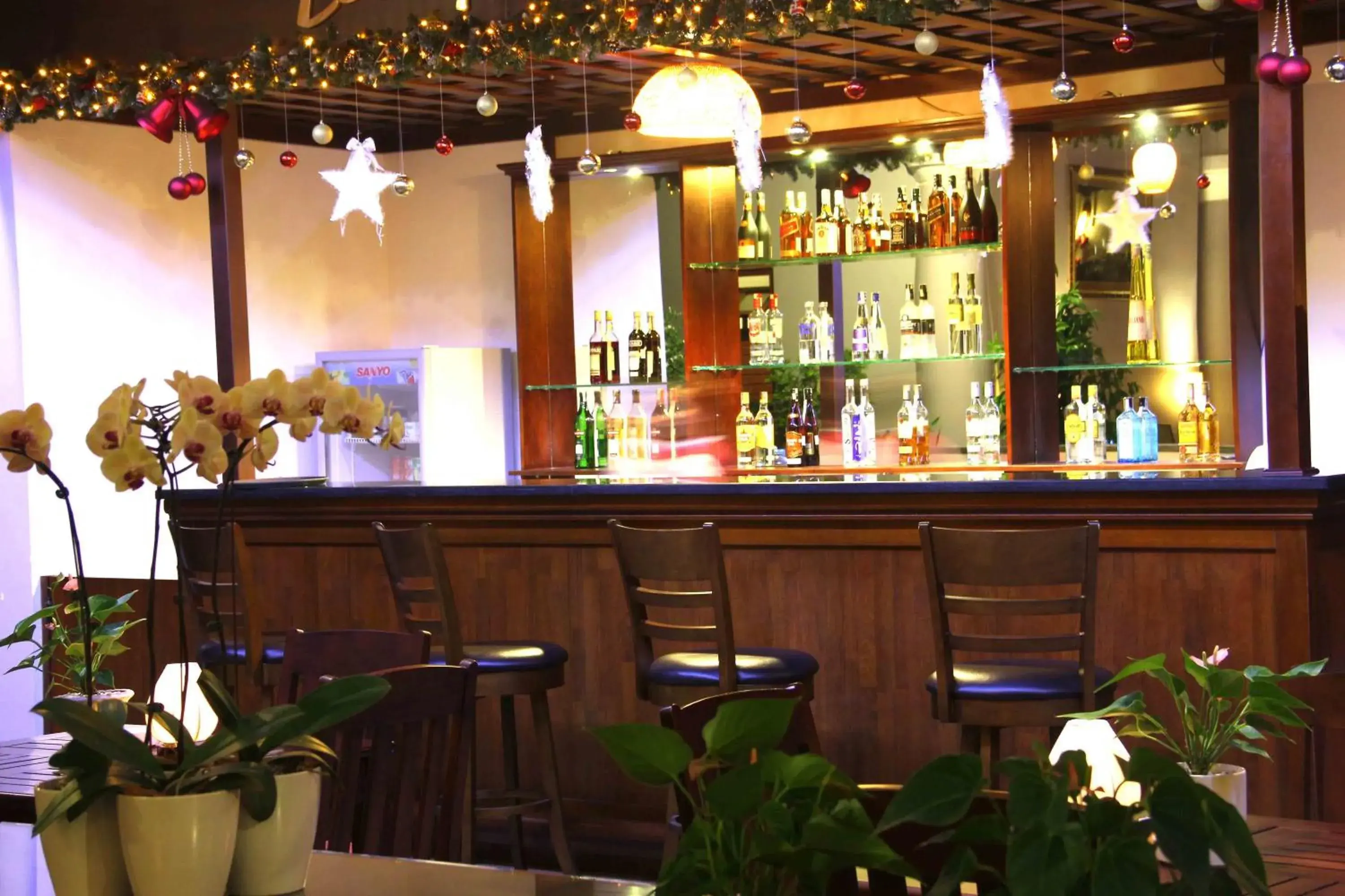 Lounge or bar, Lounge/Bar in Muine Century Beach Resort & Spa