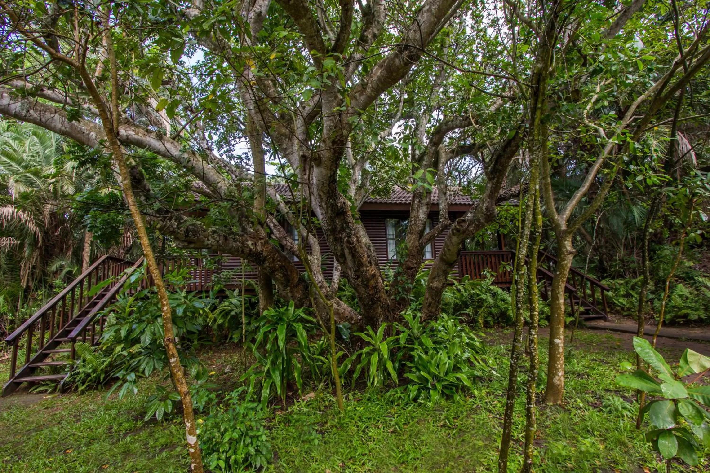 Garden, Property Building in Imvubu Lodge