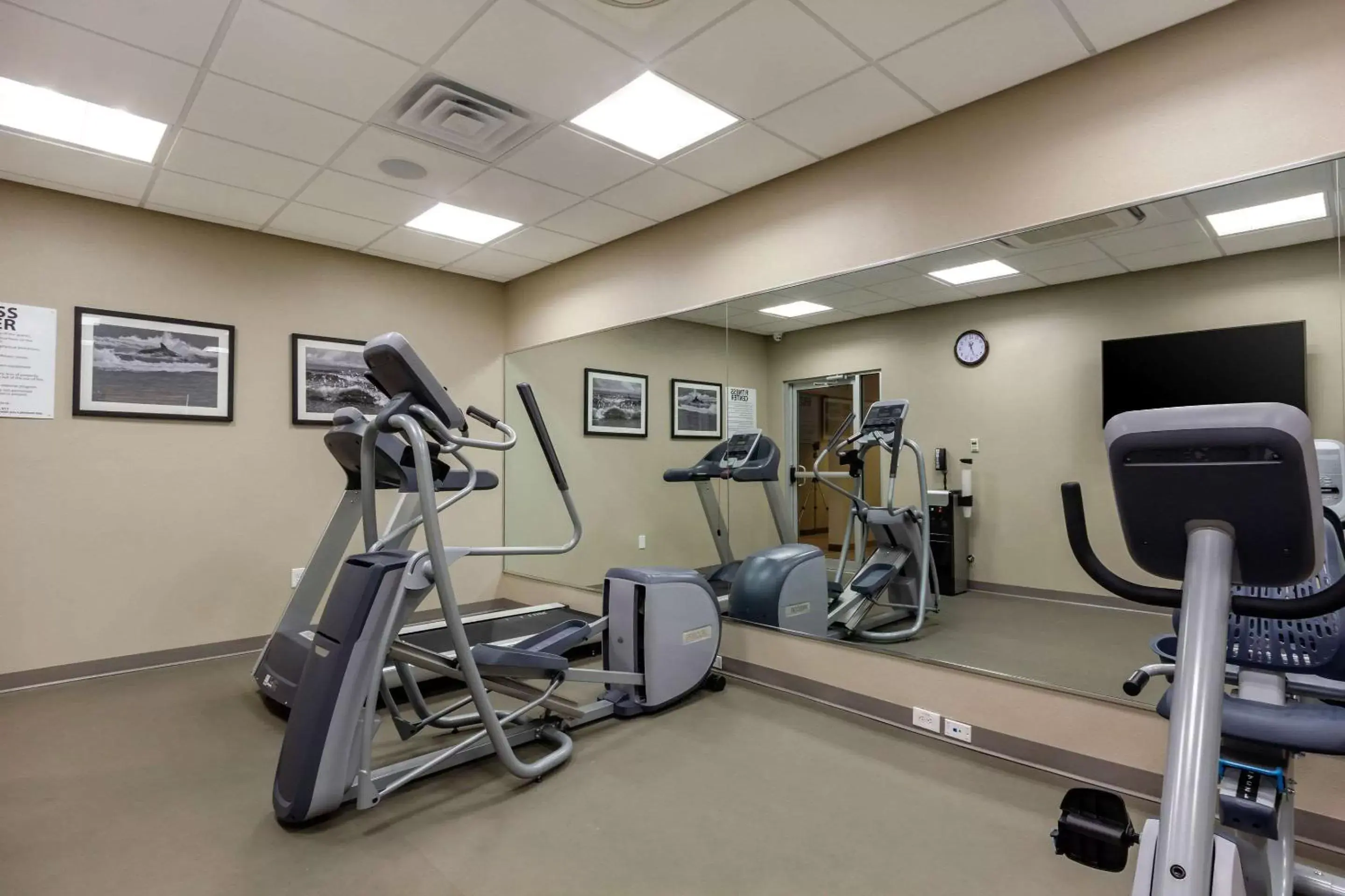 Fitness centre/facilities, Fitness Center/Facilities in Sleep Inn & Suites Tampa South