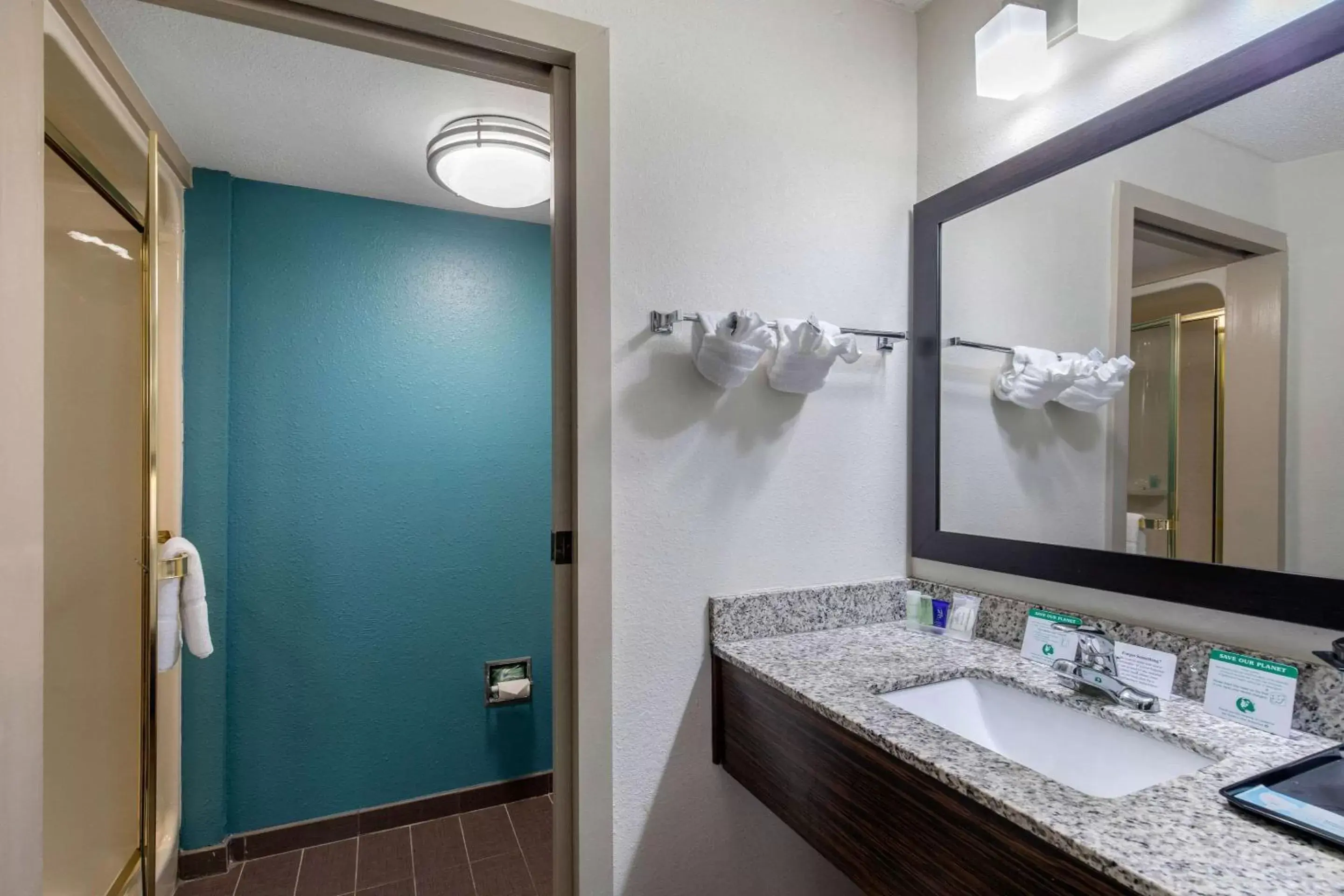 Bathroom in Clarion Inn & Suites DFW North