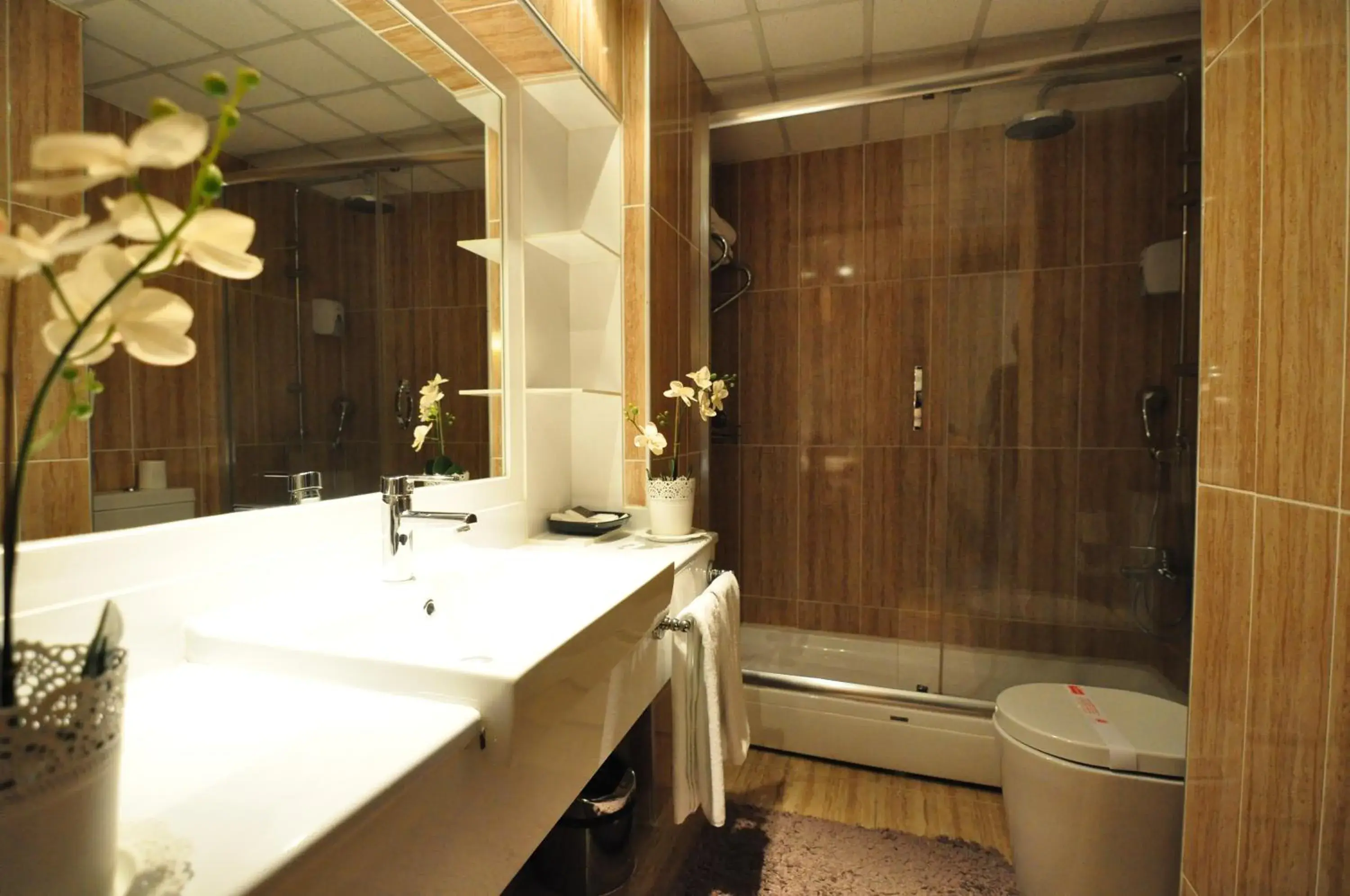 Bathroom in Hotel Buyuk Sahinler