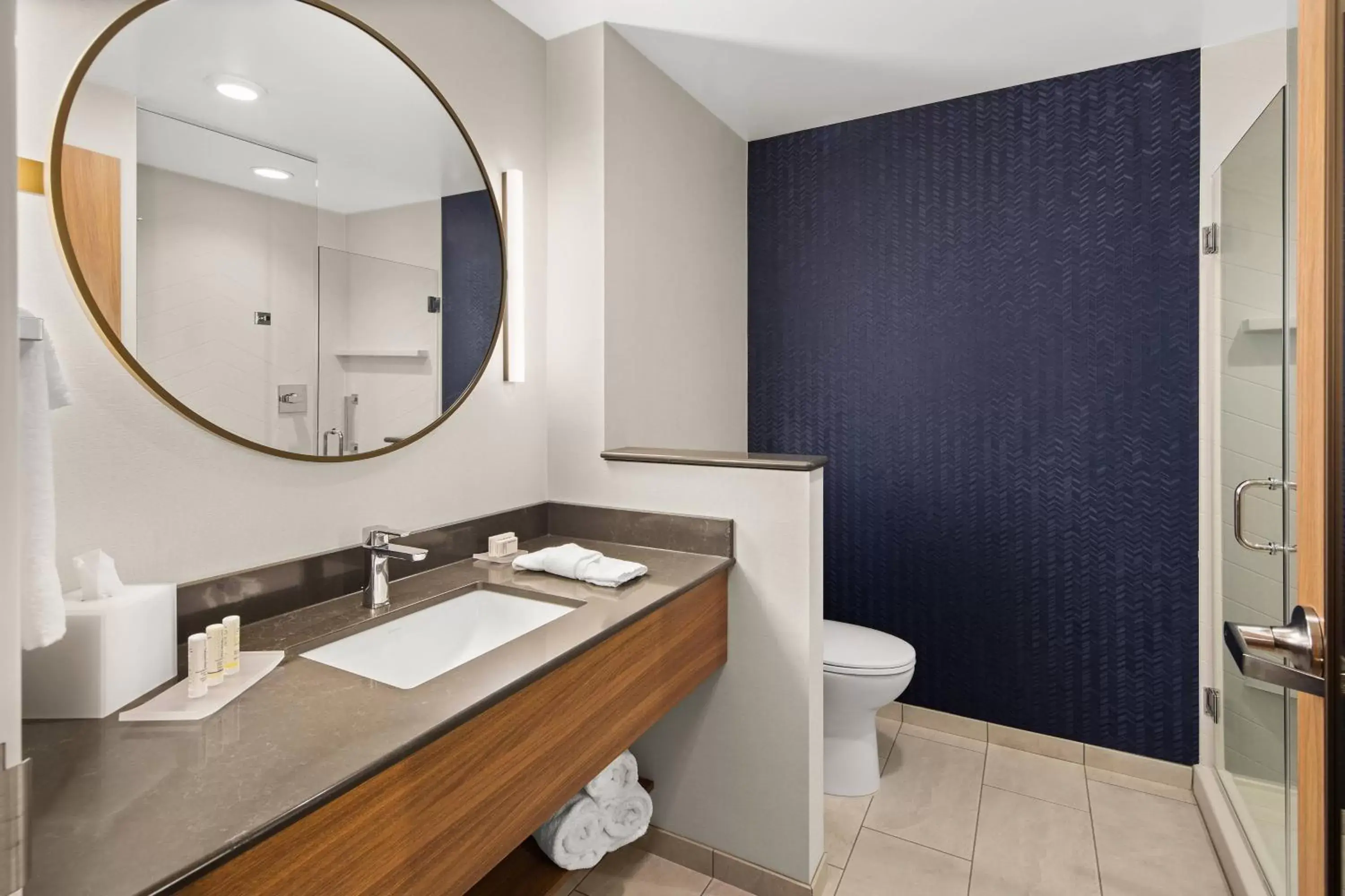 Bathroom in Fairfield by Marriott Inn & Suites Duluth