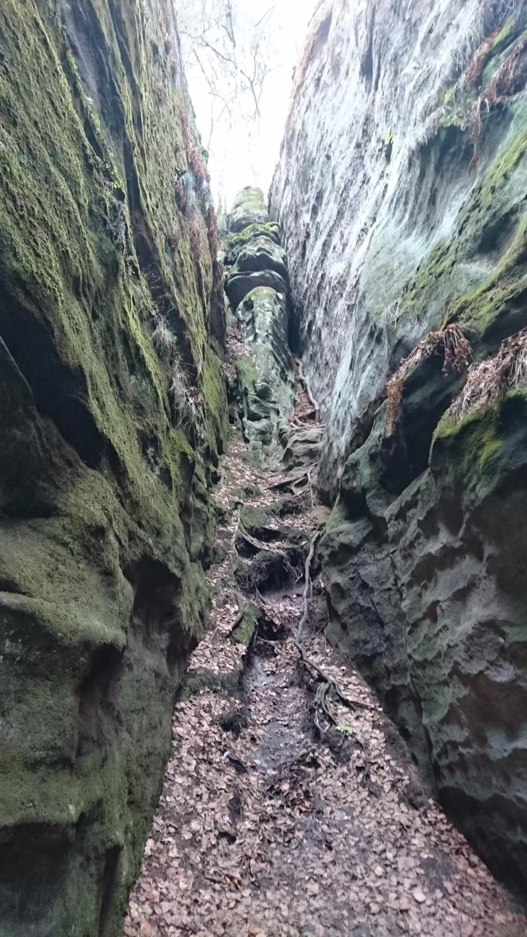 Off site in Parkhotel Skalní město