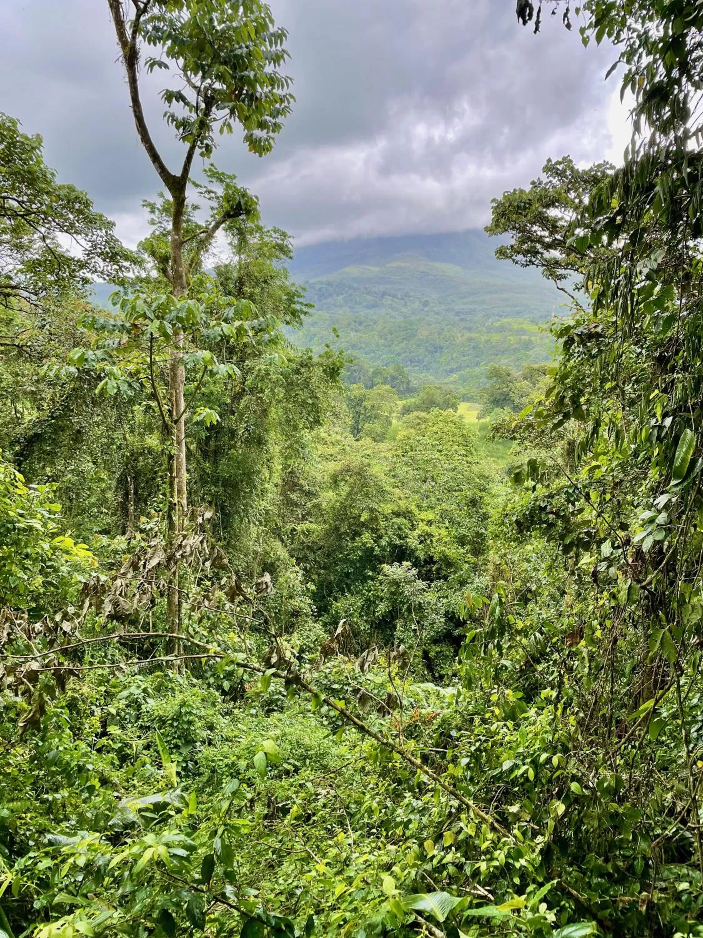 Natural landscape in Sangregado Lodge