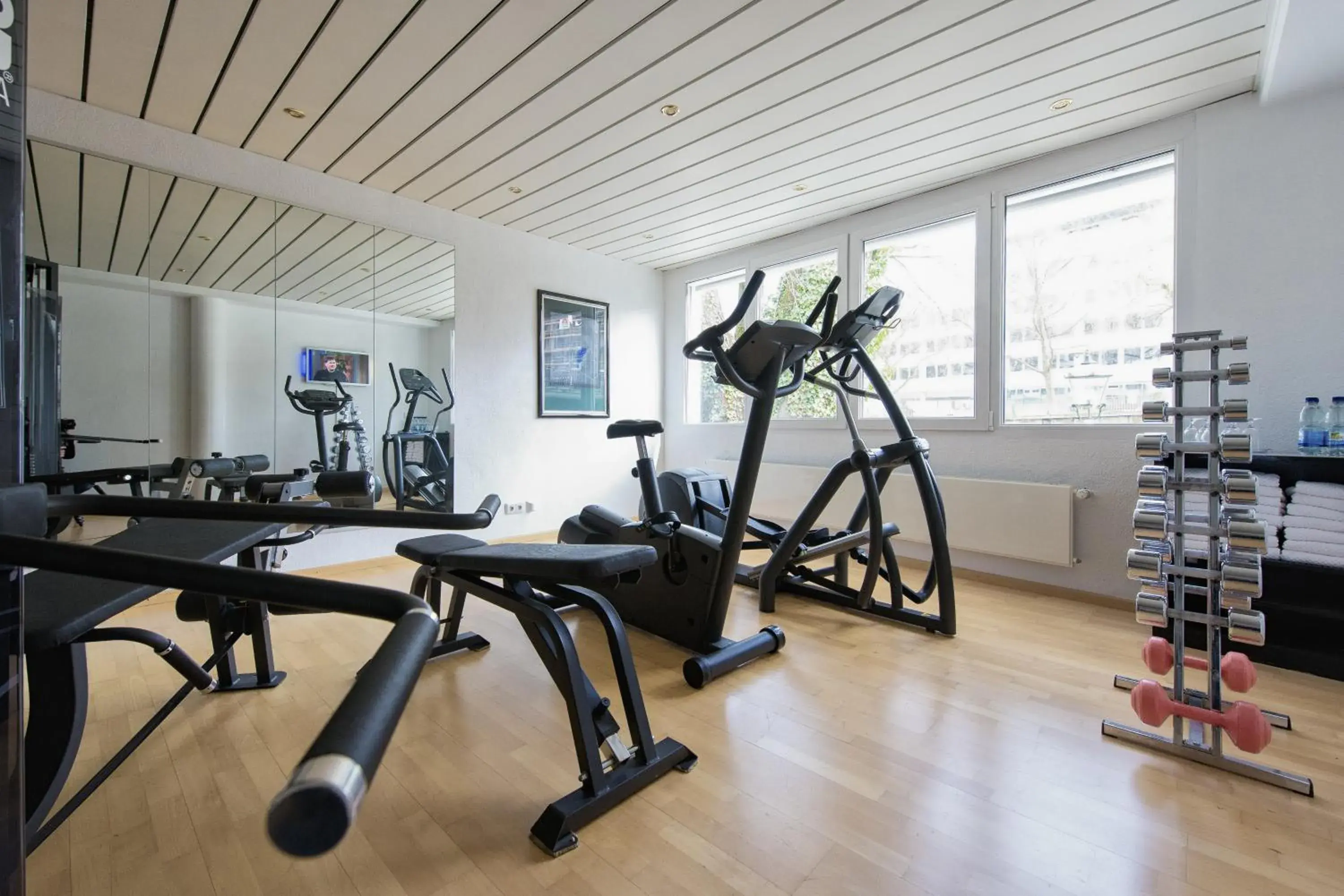 Fitness centre/facilities, Fitness Center/Facilities in Insel-Hotel Heilbronn