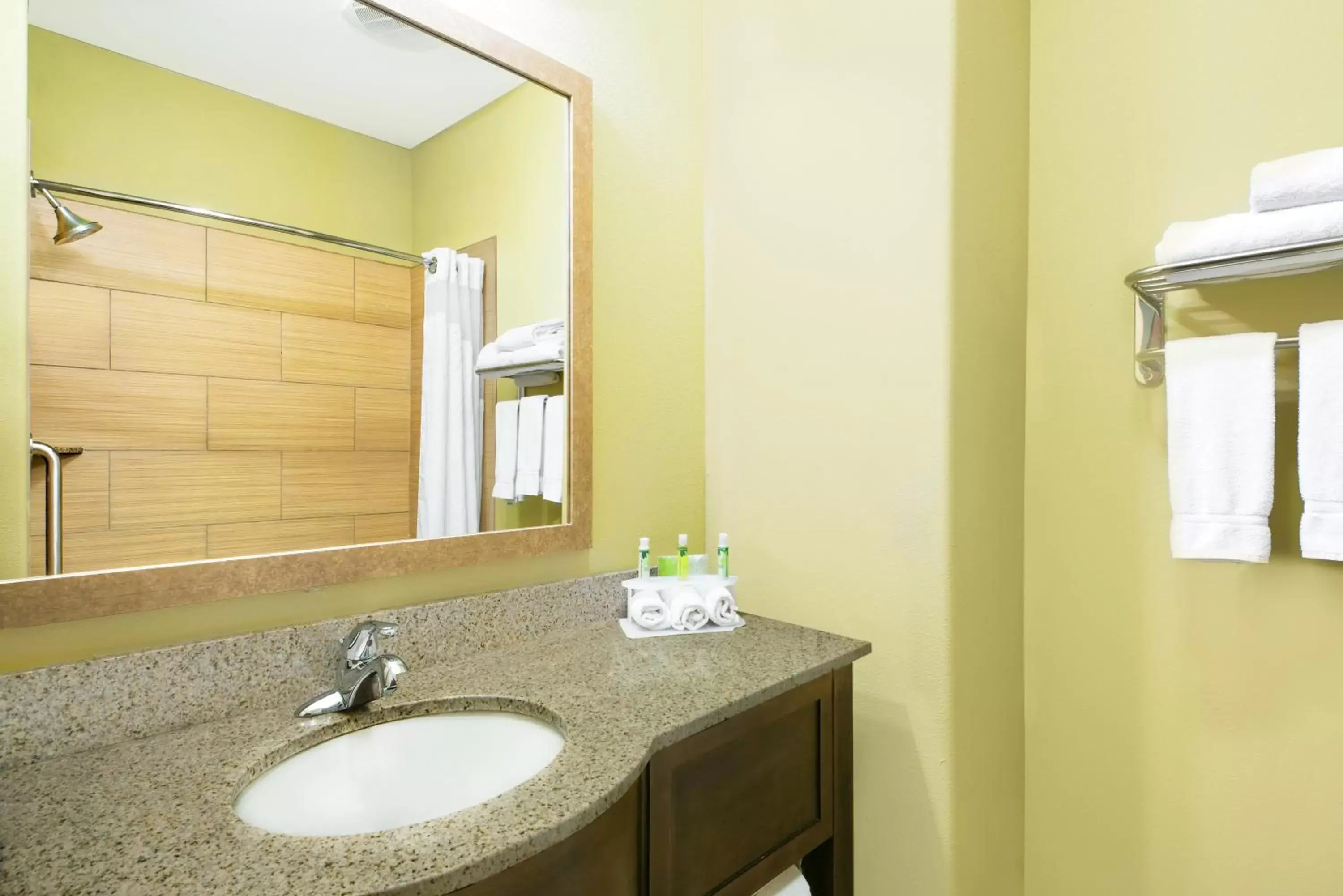 Bathroom in Holiday Inn Express Hotel and Suites Monahans I-20, an IHG Hotel