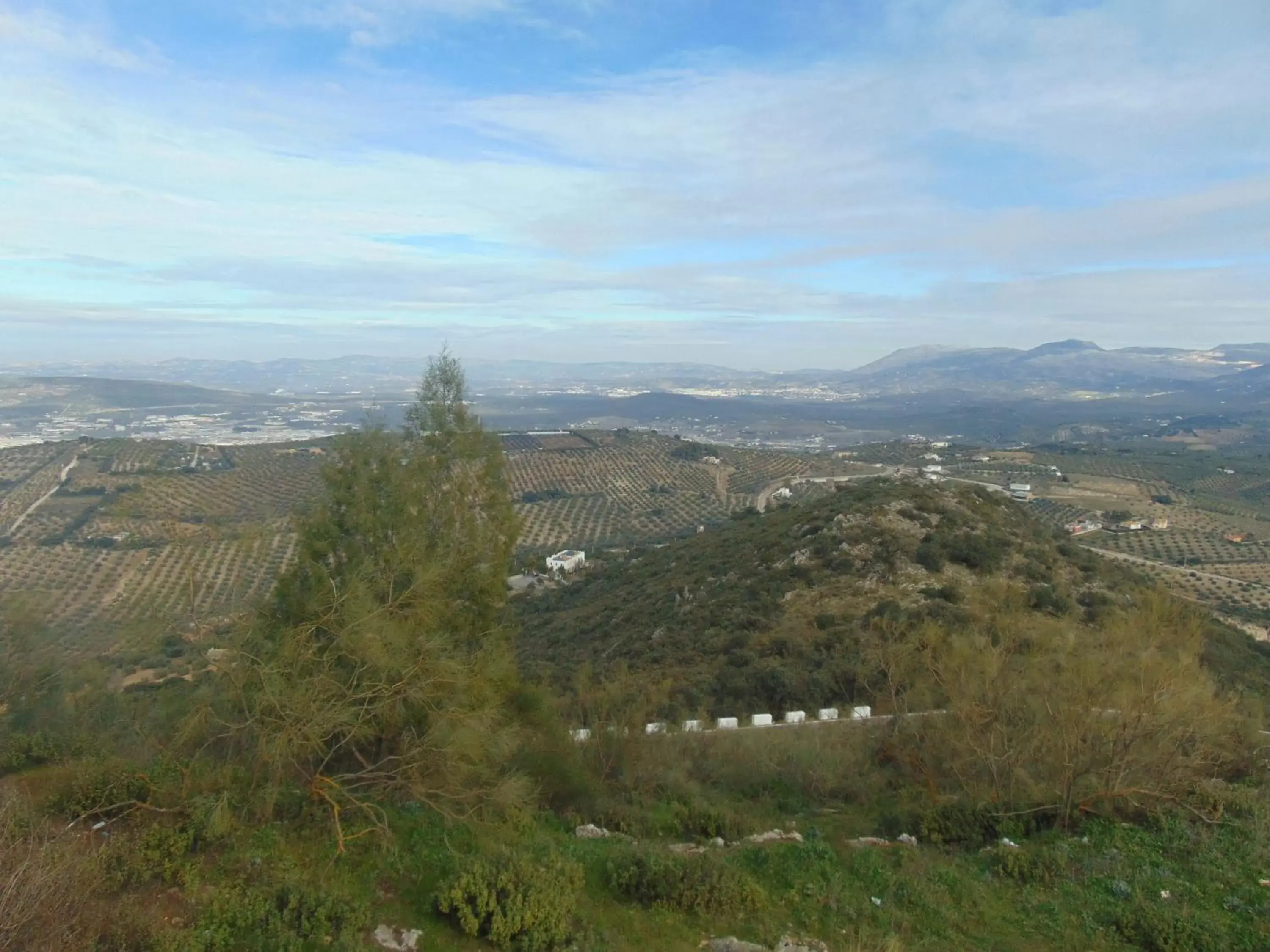 Area and facilities in Hotel Sierra de Araceli Lucena