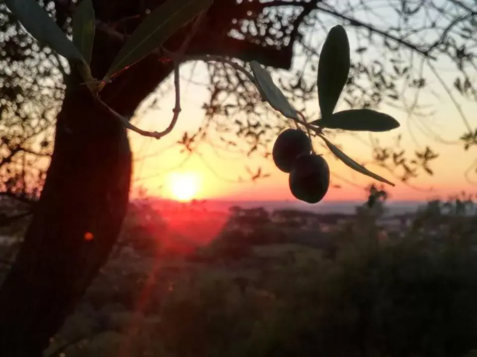 Spring in Villa Cavalletti Appartamenti