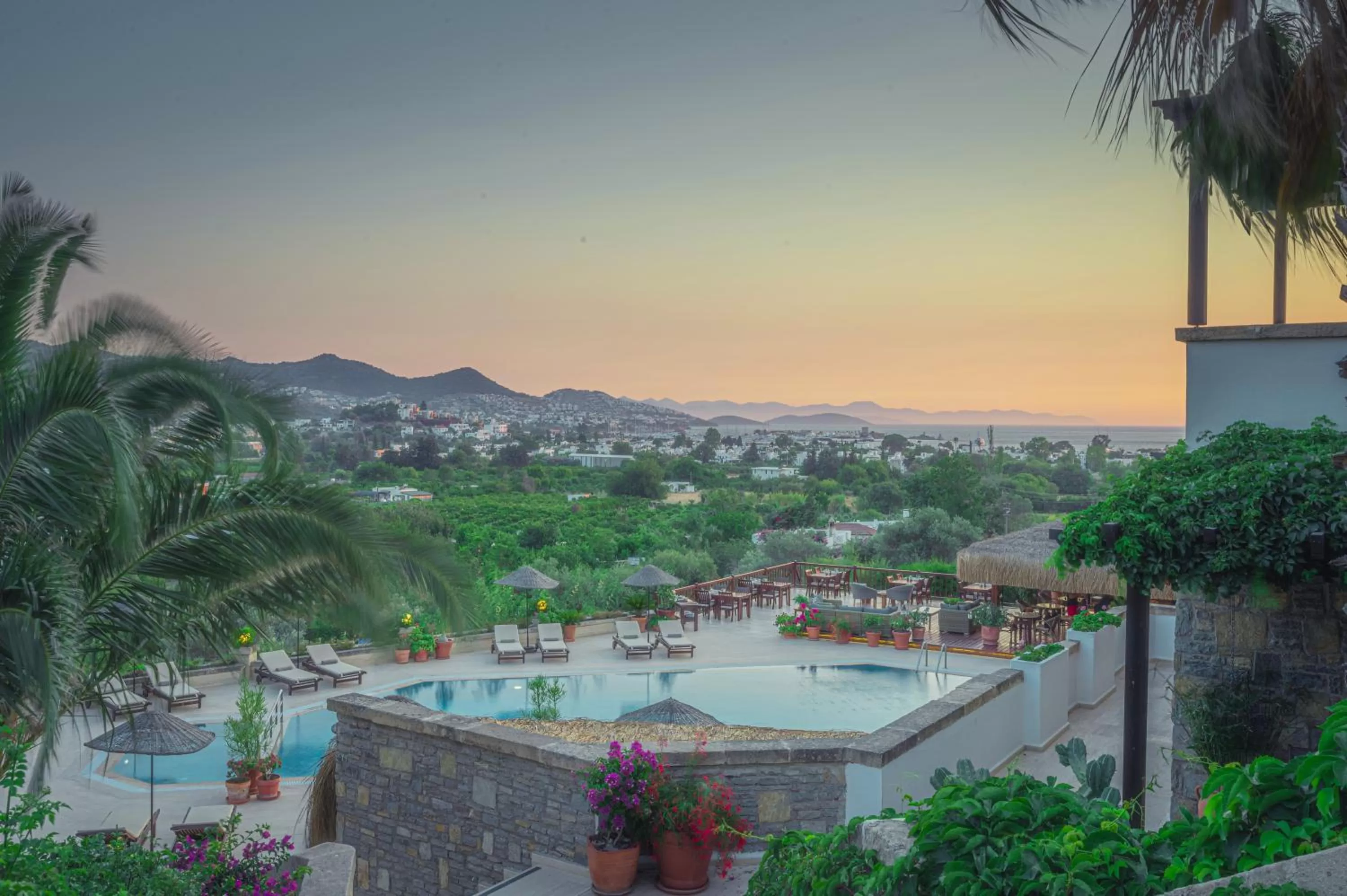 Natural landscape, Swimming Pool in 4reasons hotel + bistro | 12+