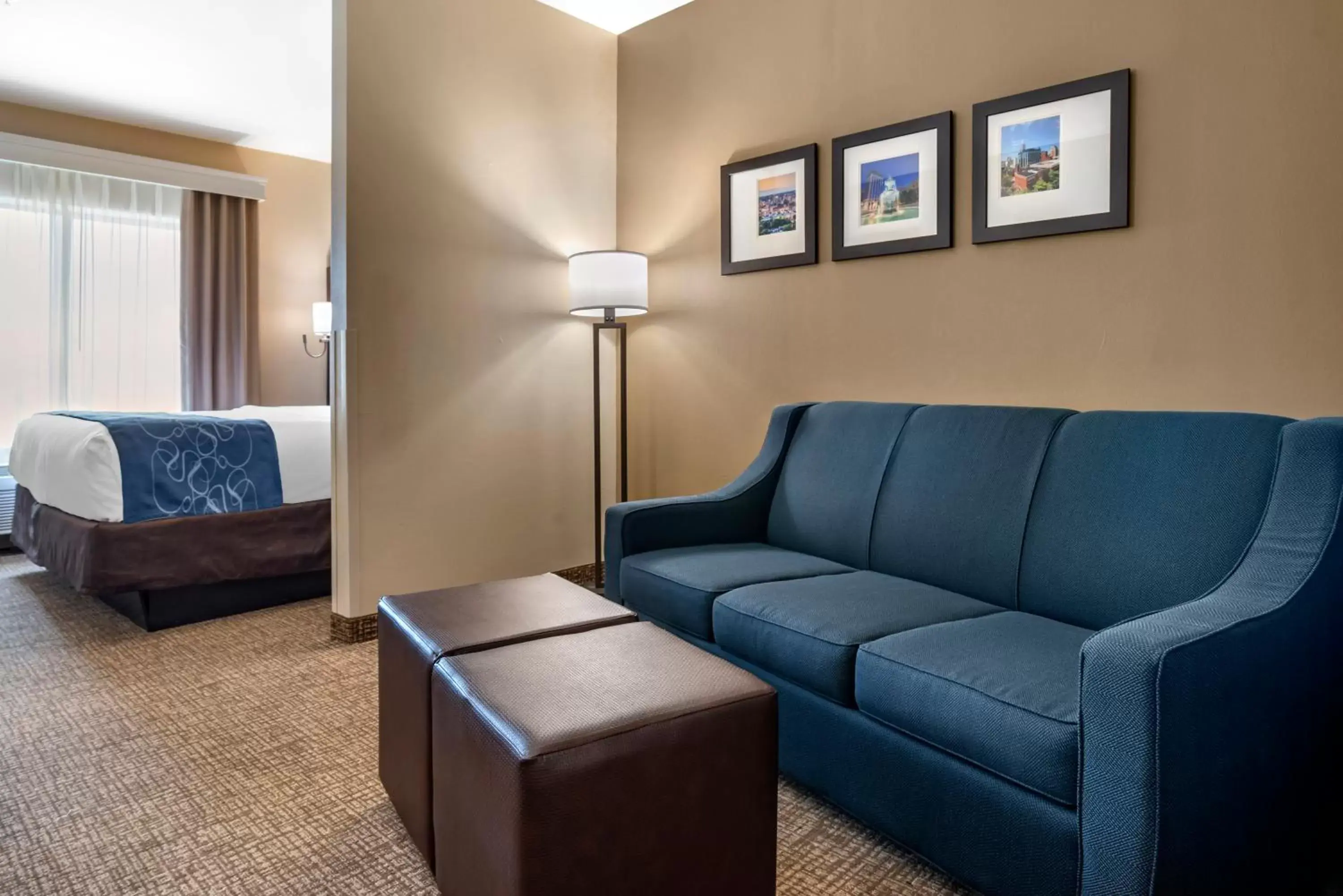 Living room, Seating Area in Comfort Suites Pell City I-20 exit 158