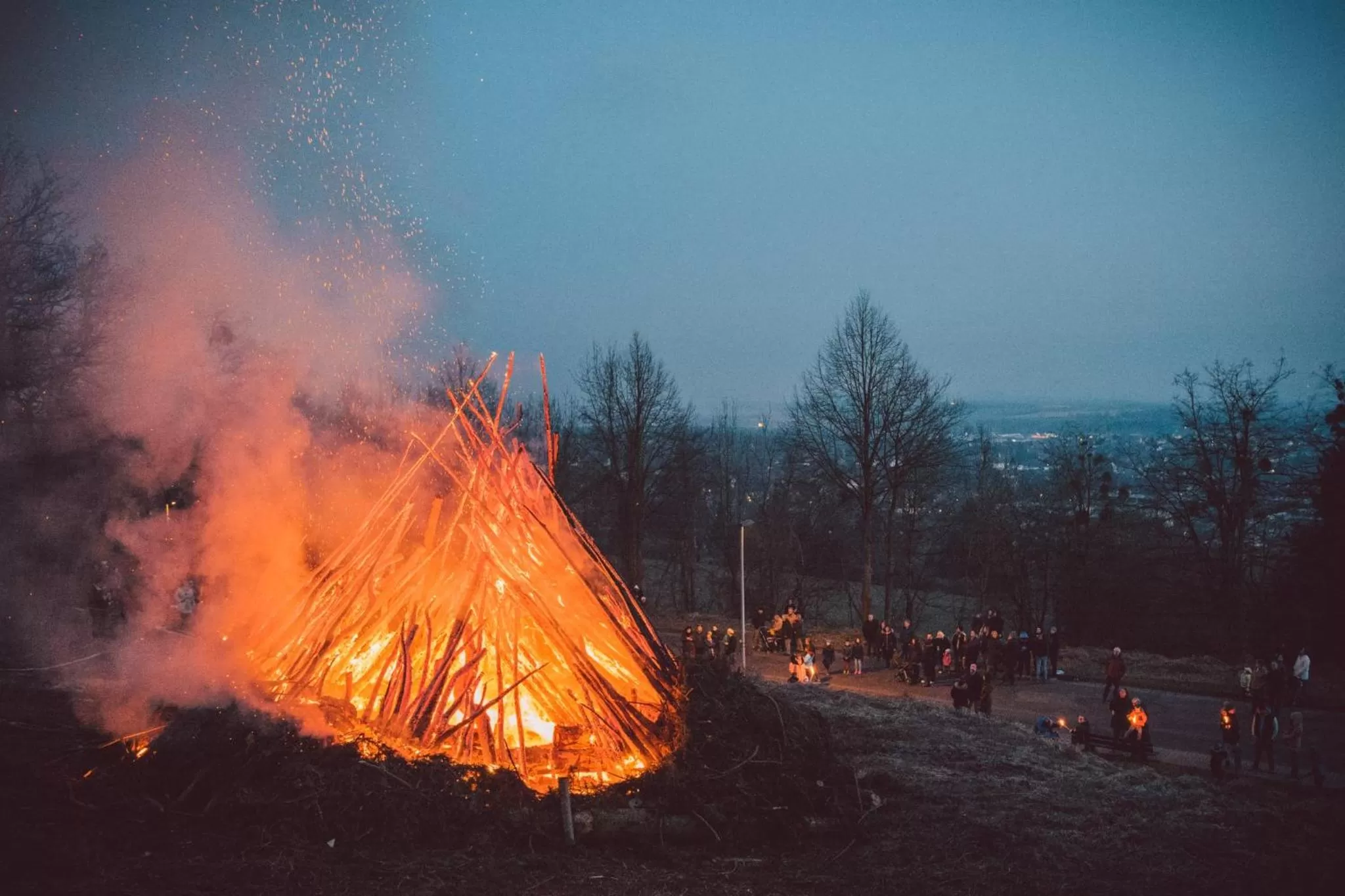 Natural landscape in Hotel Hasenjäger