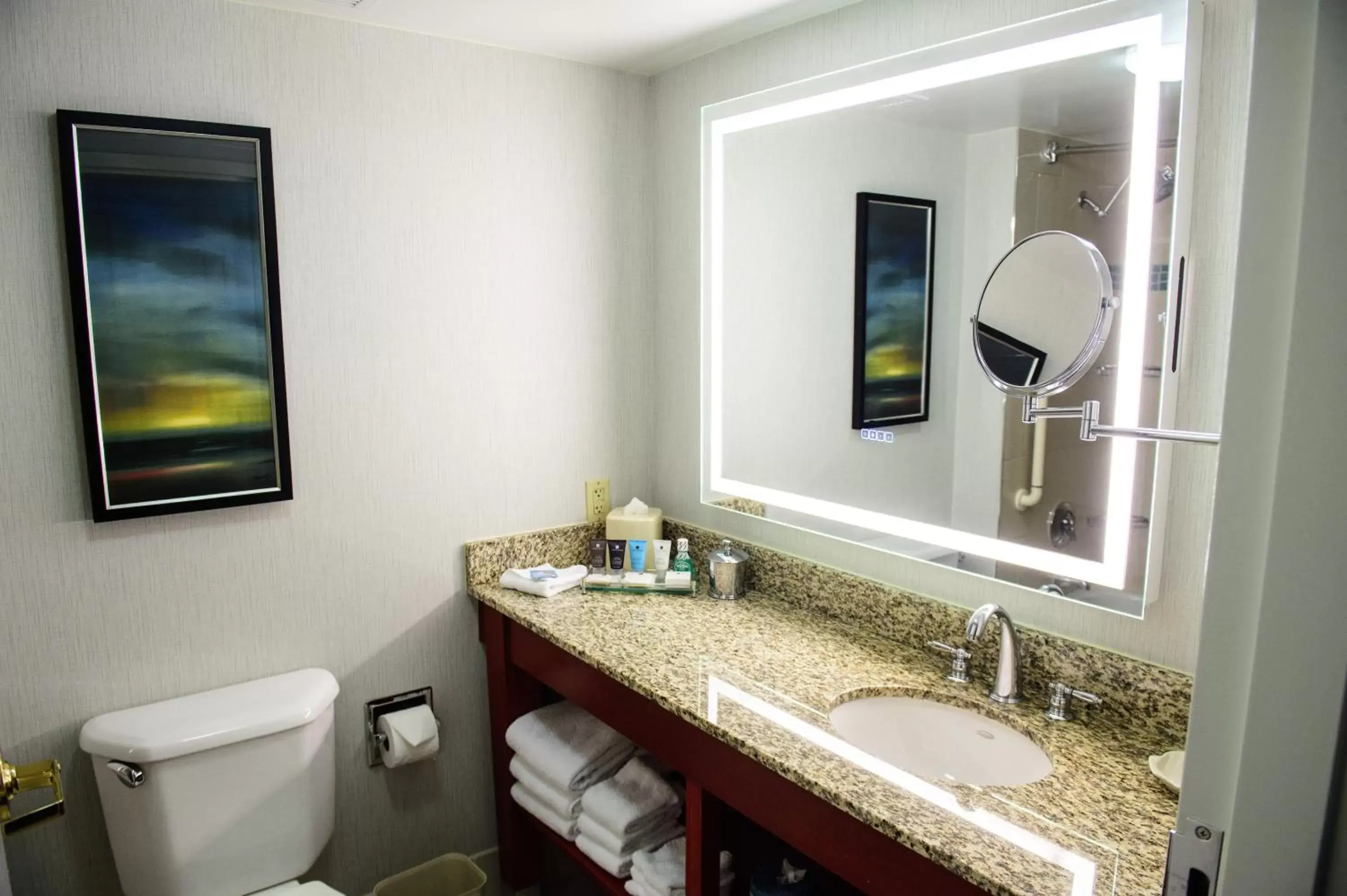 Bathroom in Crowne Plaza Dulles Airport, an IHG Hotel