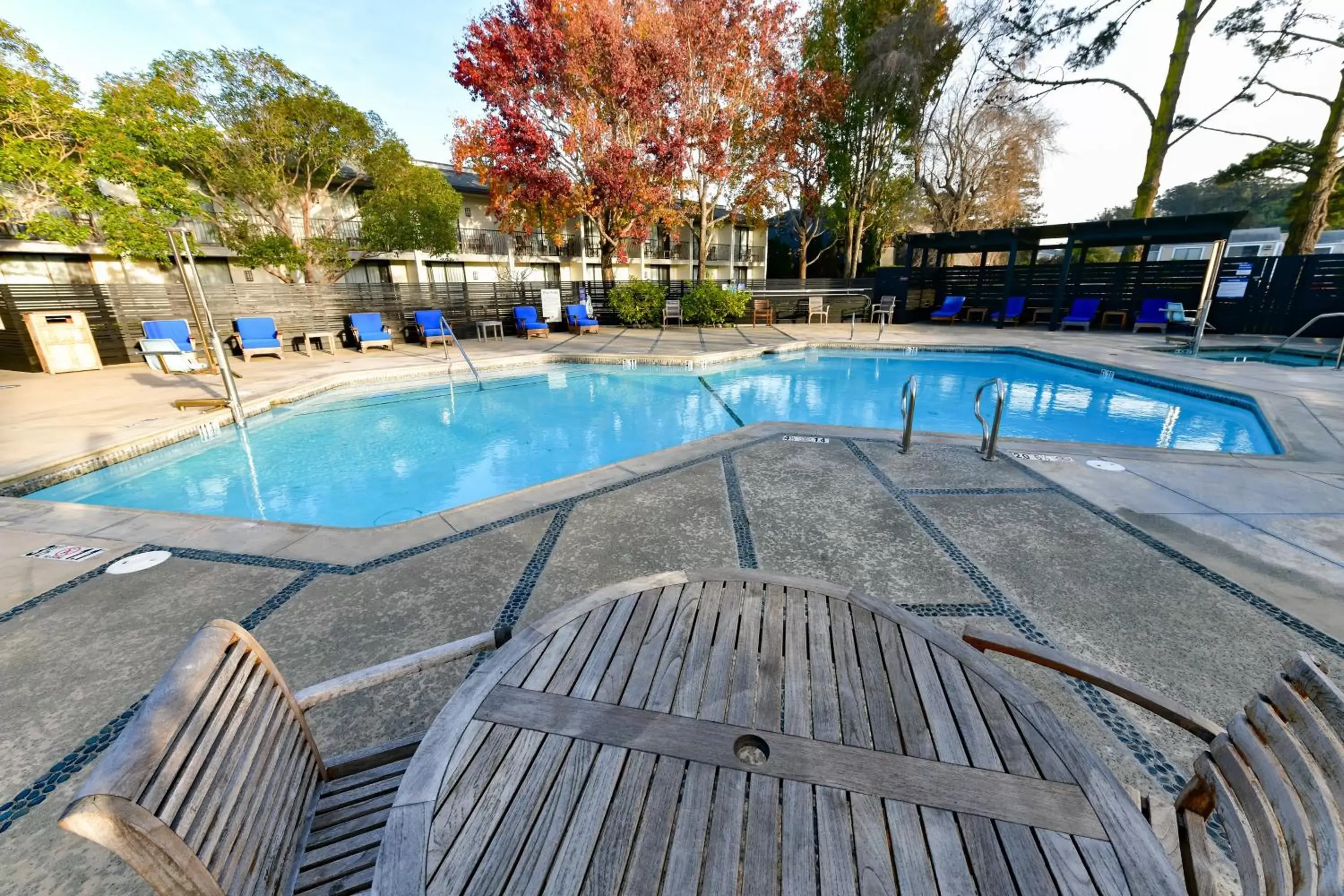 Swimming pool in Holiday Inn Express Mill Valley - Sausalito Area, an IHG Hotel
