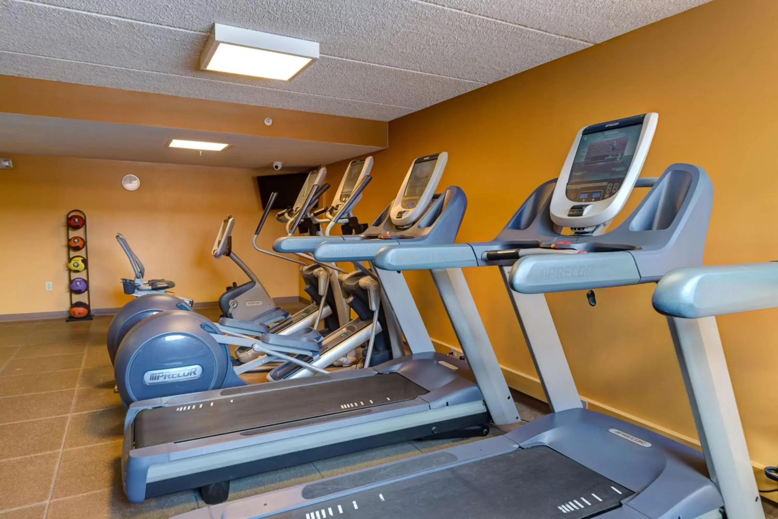 Fitness centre/facilities, Fitness Center/Facilities in Hilton Akron/Fairlawn