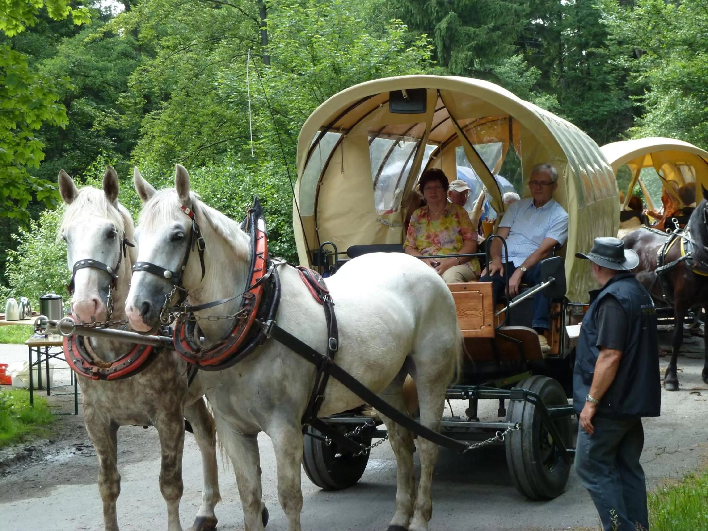 Activities in Hotel Frauensteiner Hof