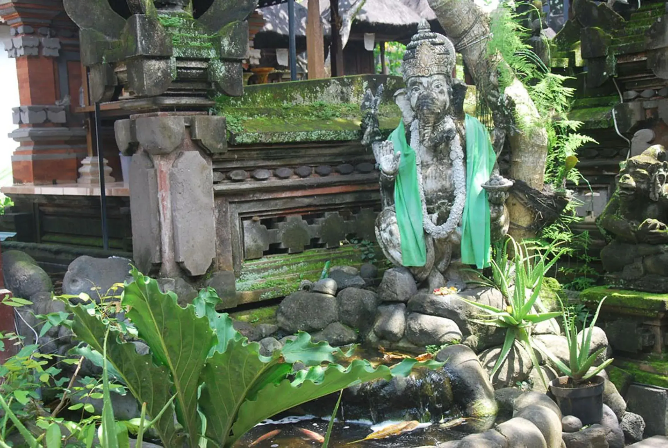 Garden view in Bulan Bali Homestay