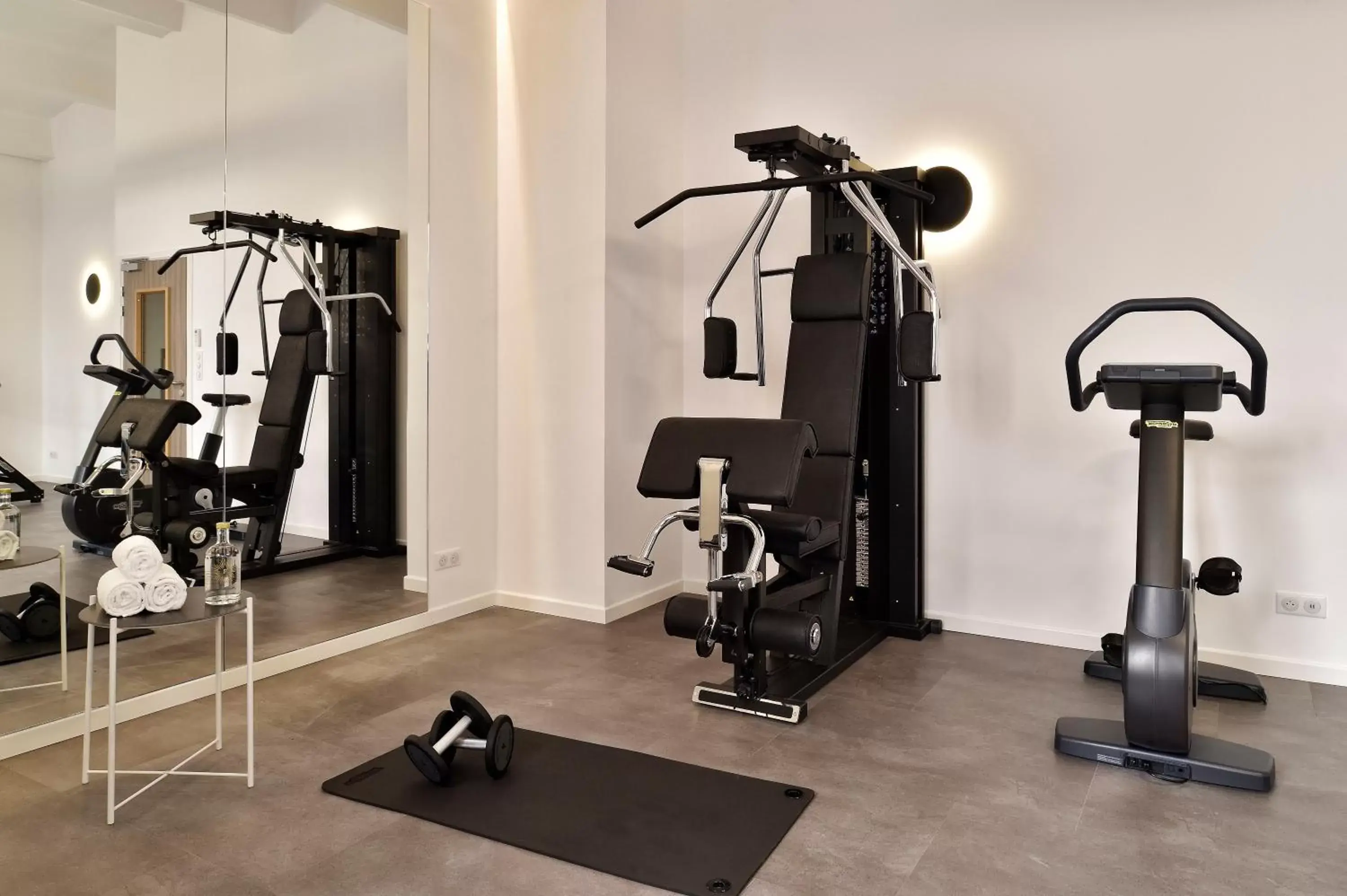 Fitness centre/facilities, Fitness Center/Facilities in Hôtel Fesch & Spa