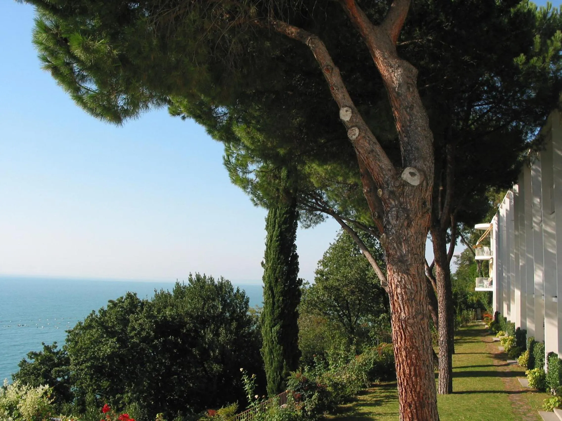 View (from property/room) in Hotel Riviera & Maximilian's