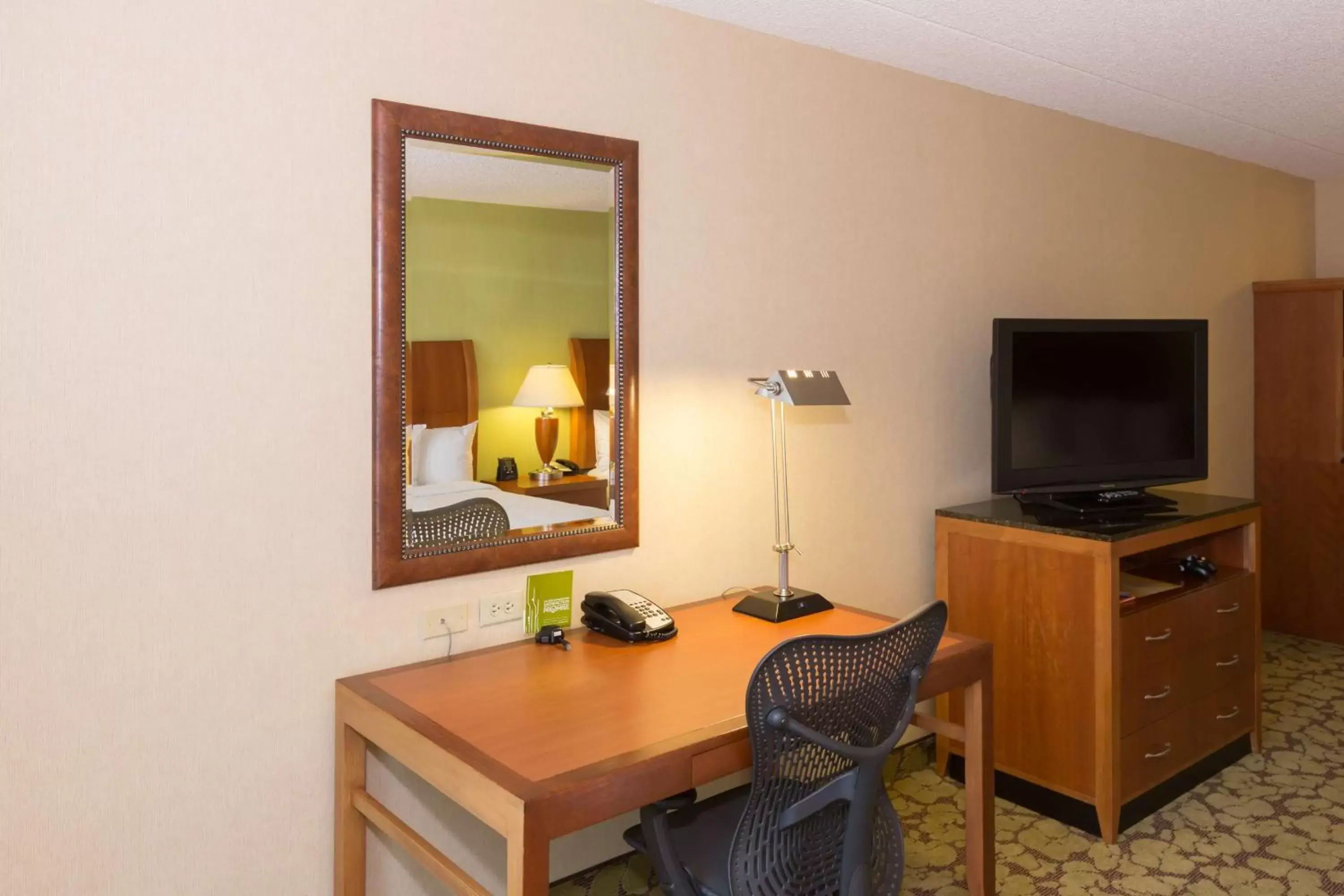 Bed, TV/Entertainment Center in Hilton Garden Inn Buffalo Airport