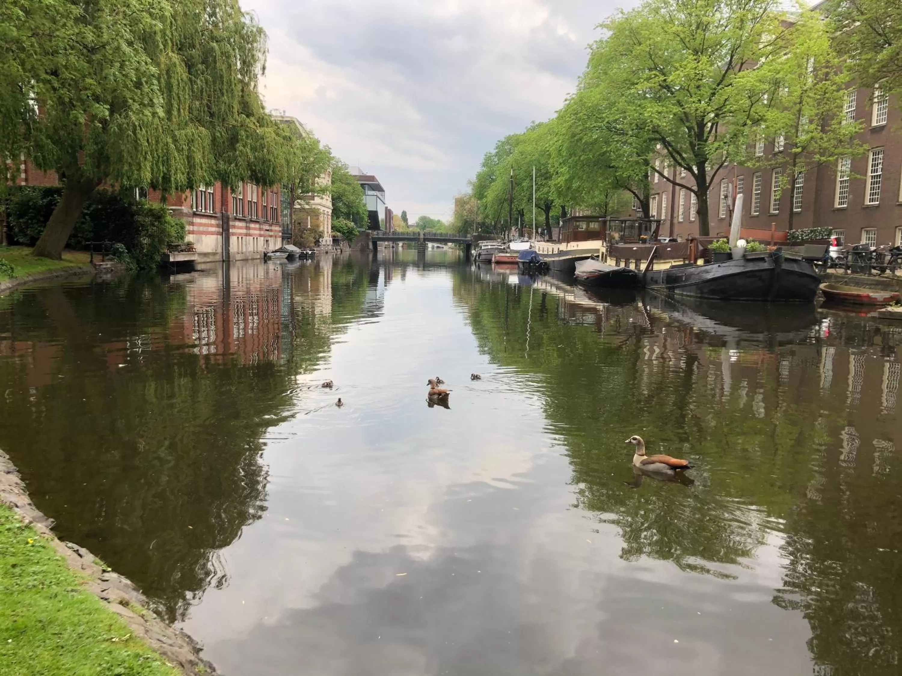 Nearby landmark in Hotel Hortus