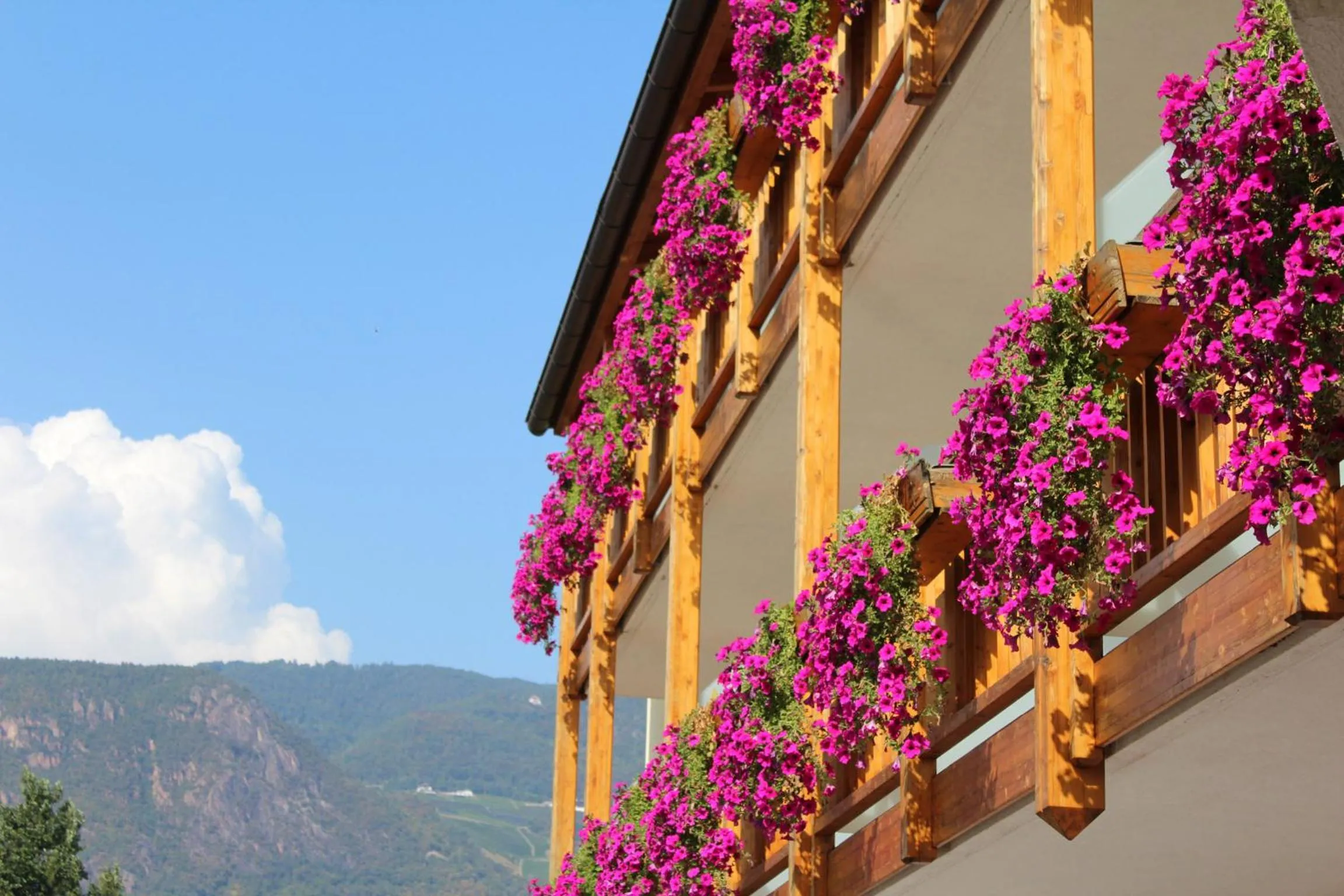 Spring in Gardenhotel Premstaller