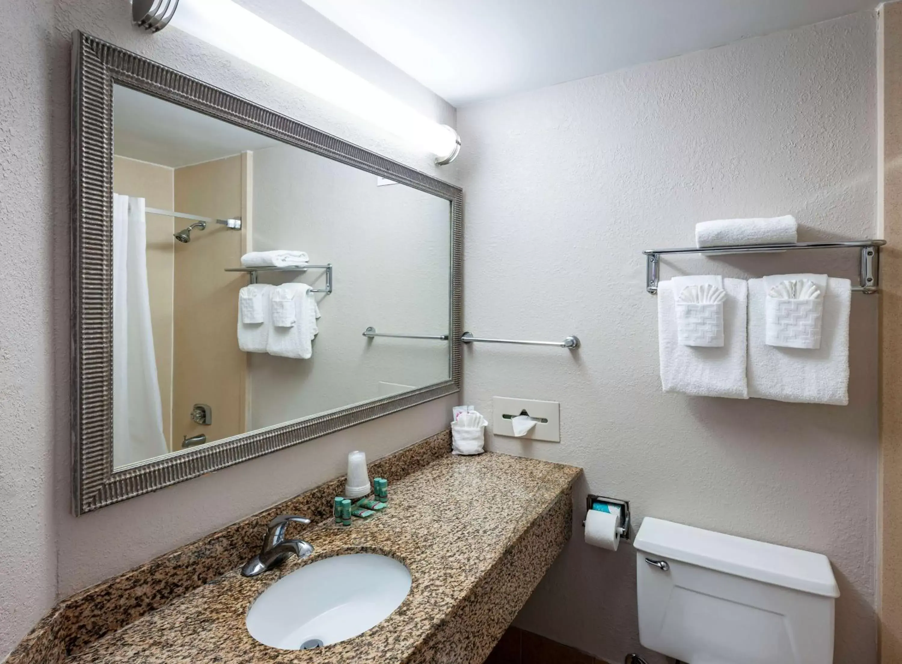 Bathroom in Best Western New Smyrna Beach Hotel & Suites