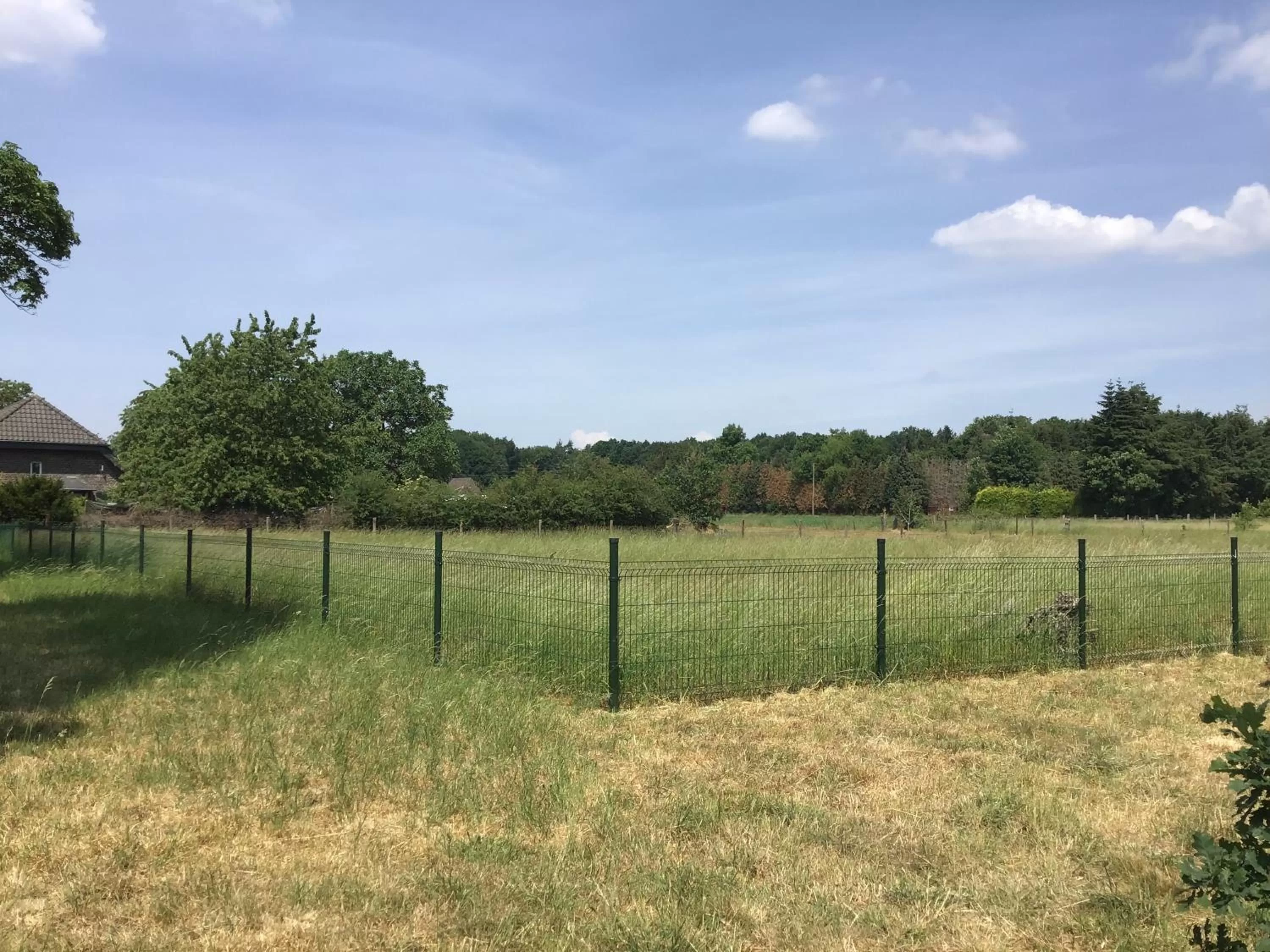 Natural landscape, Other Activities in Nergena Zimmer Frei