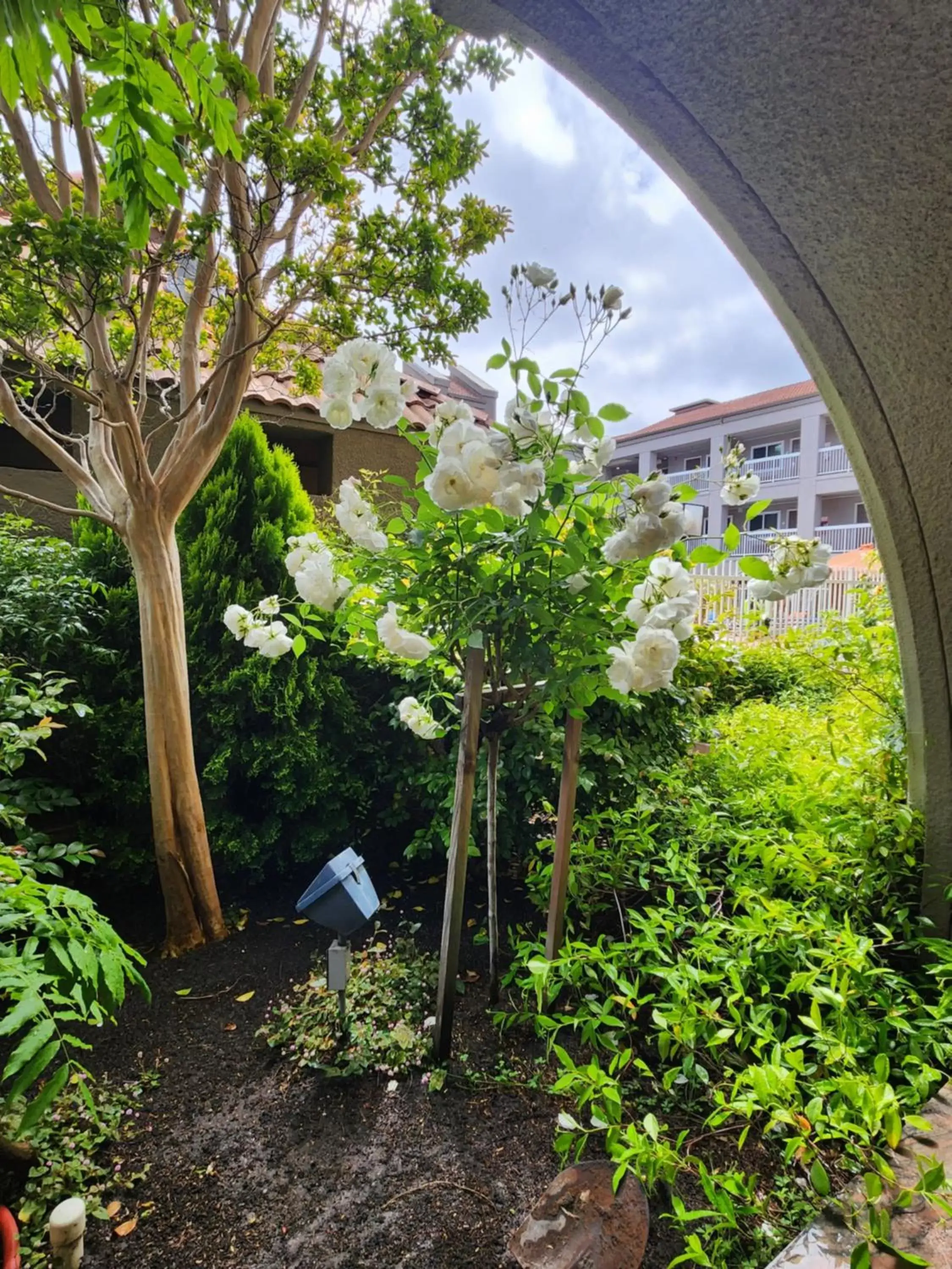 Garden in La Quinta by Wyndham San Francisco Airport West