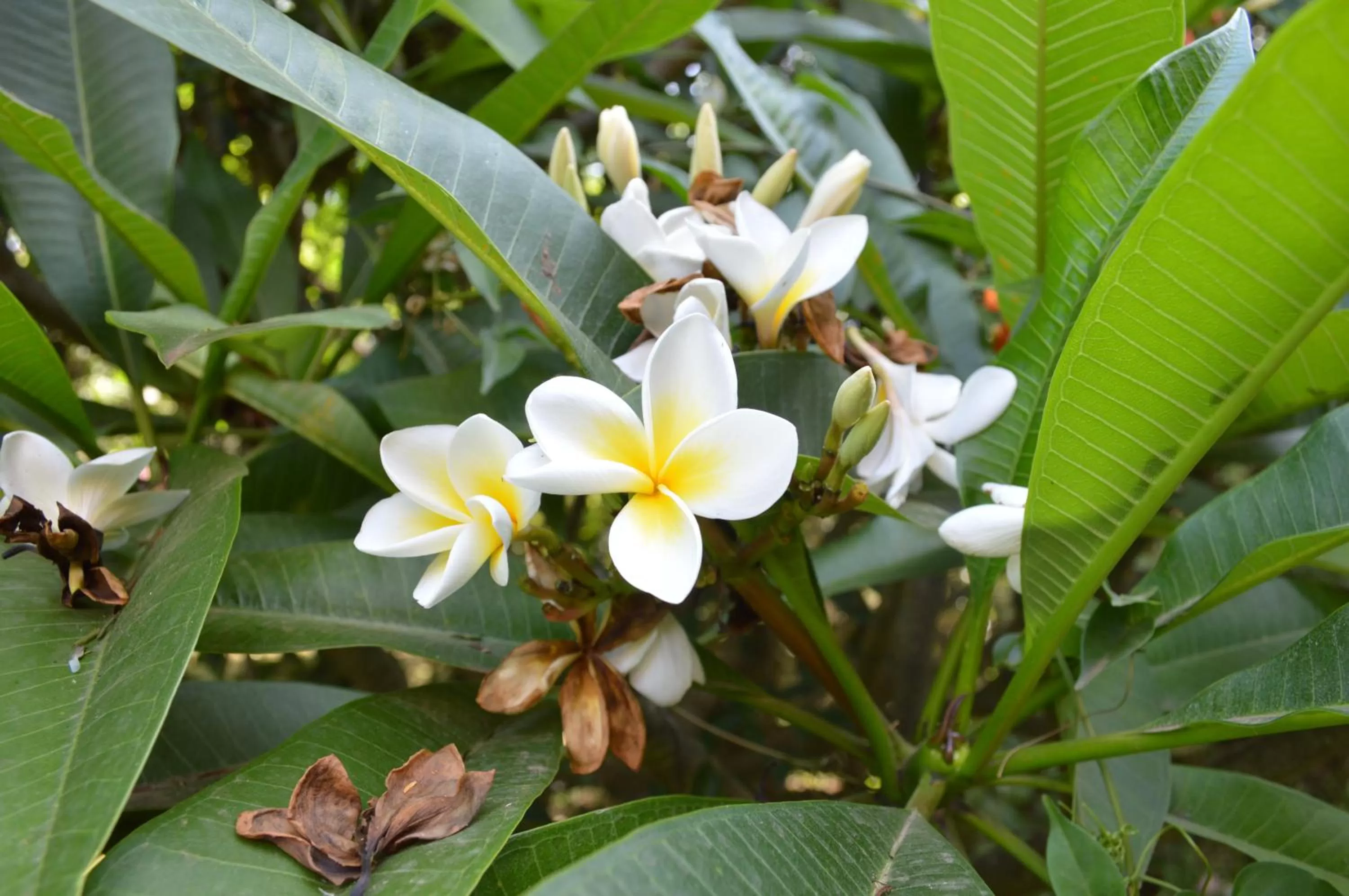 The Researchers Rest