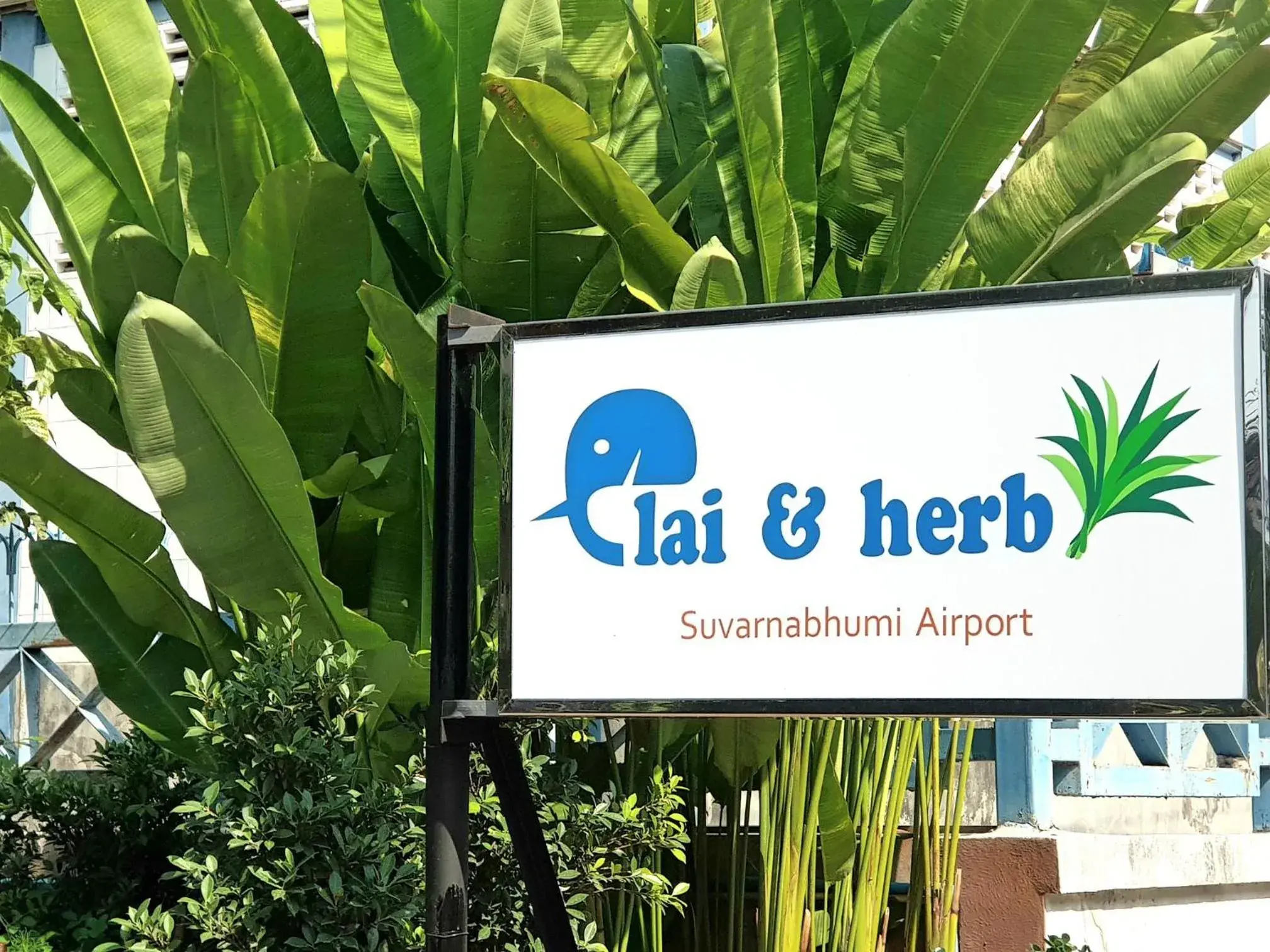 Logo/Certificate/Sign in Plai And Herbs Suvarnabhumi Airport