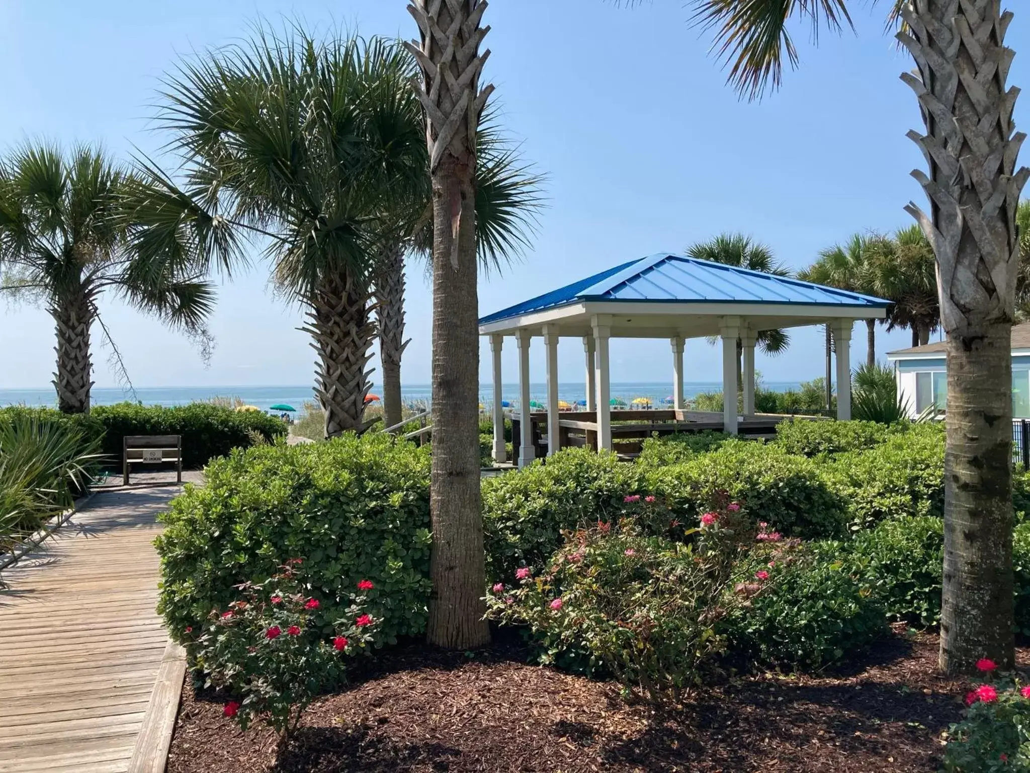 Beach, Property Building in Forest Dunes Resort