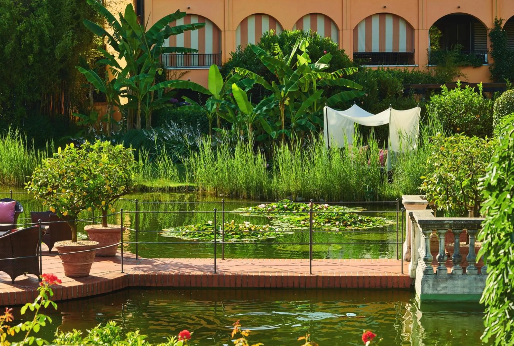 Garden in Giardino Ascona