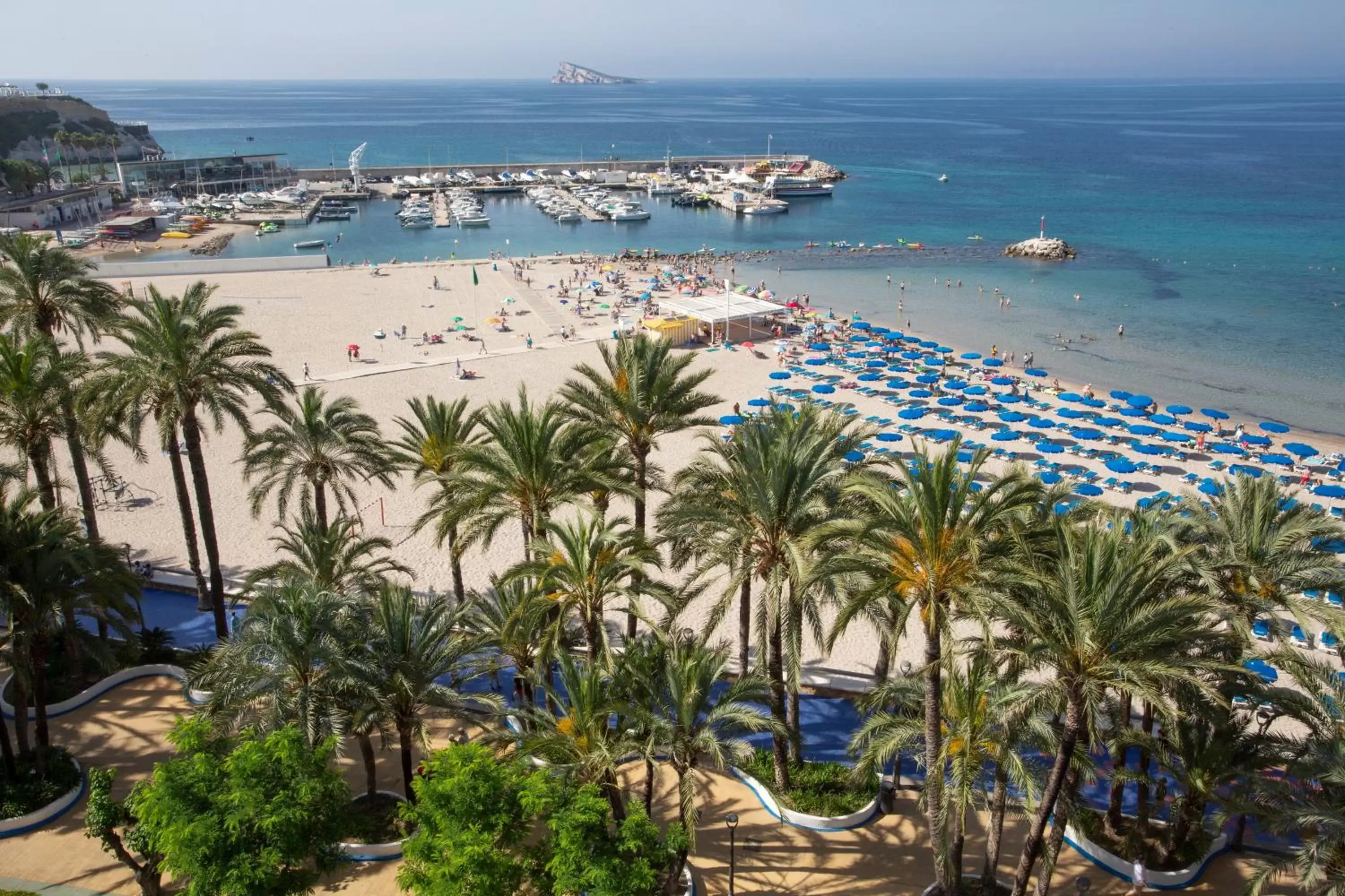 Sea view, Beach in Casual Pop Art Benidorm