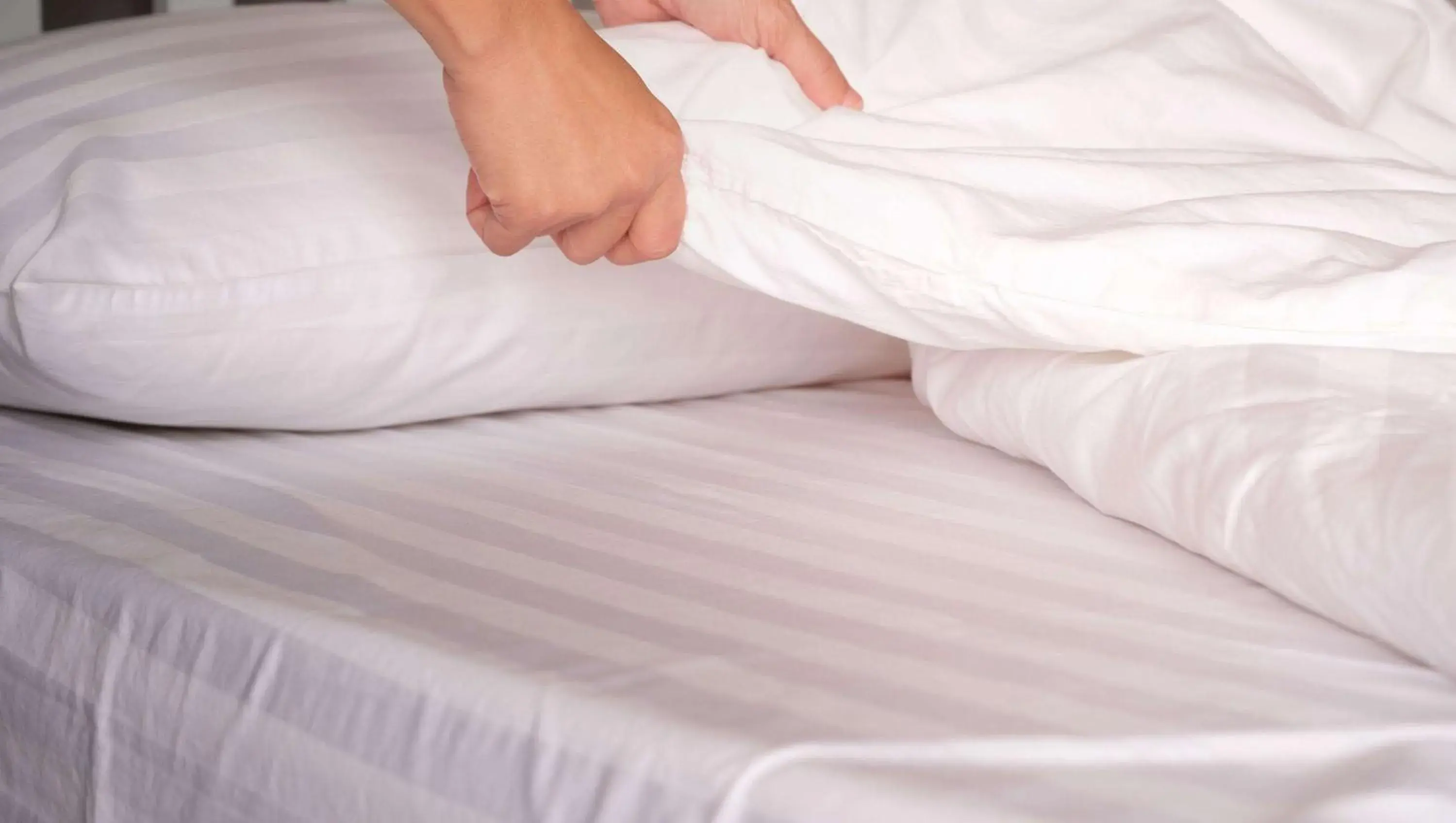 Photo of the whole room, Bed in Magnuson Hotel Jacksonville Downtown Photo of the whole room, Bed in Magnuson Hotel Jacksonville Downtown