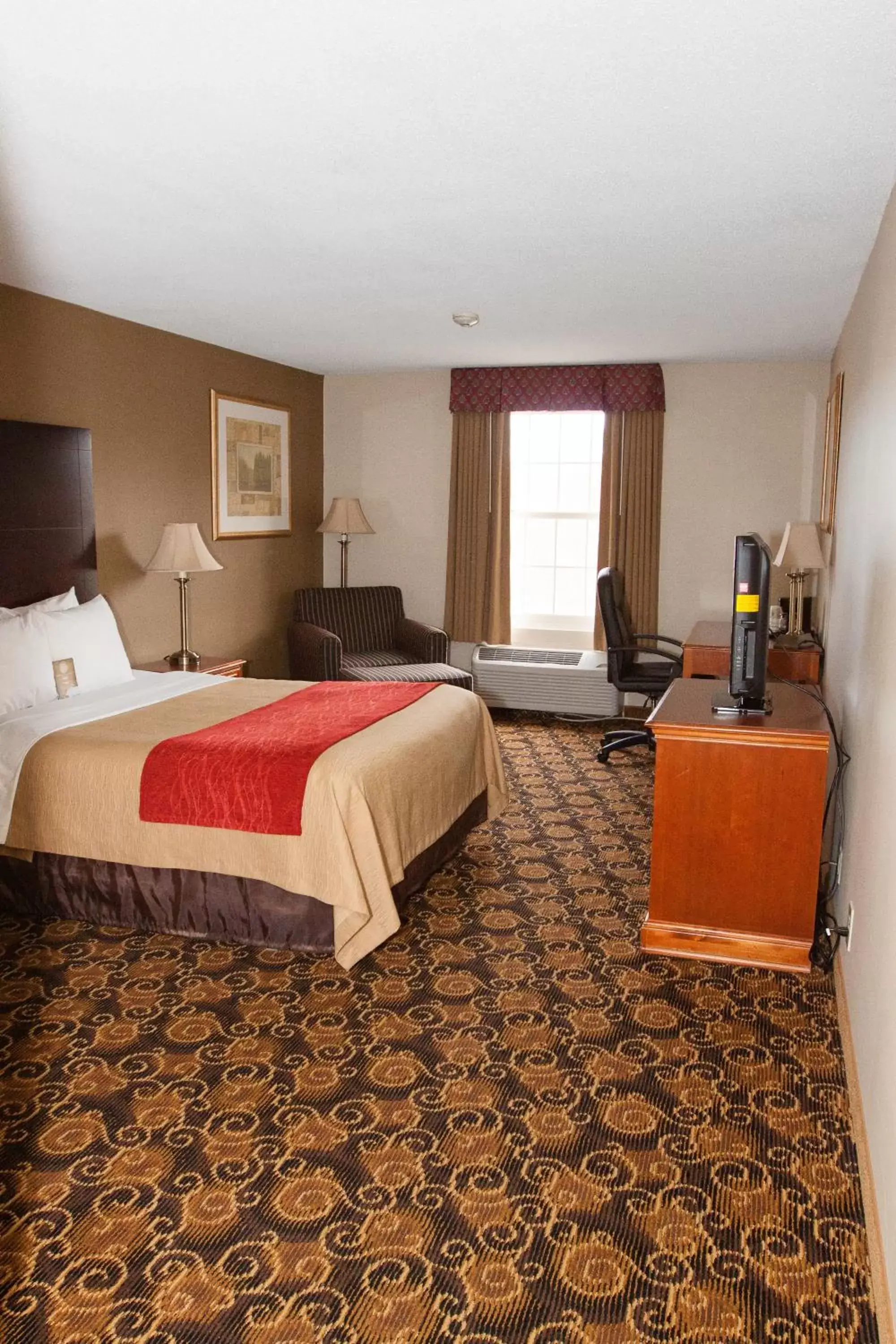 Queen Room - Non-Smoking in Comfort Inn Rockland - Boston