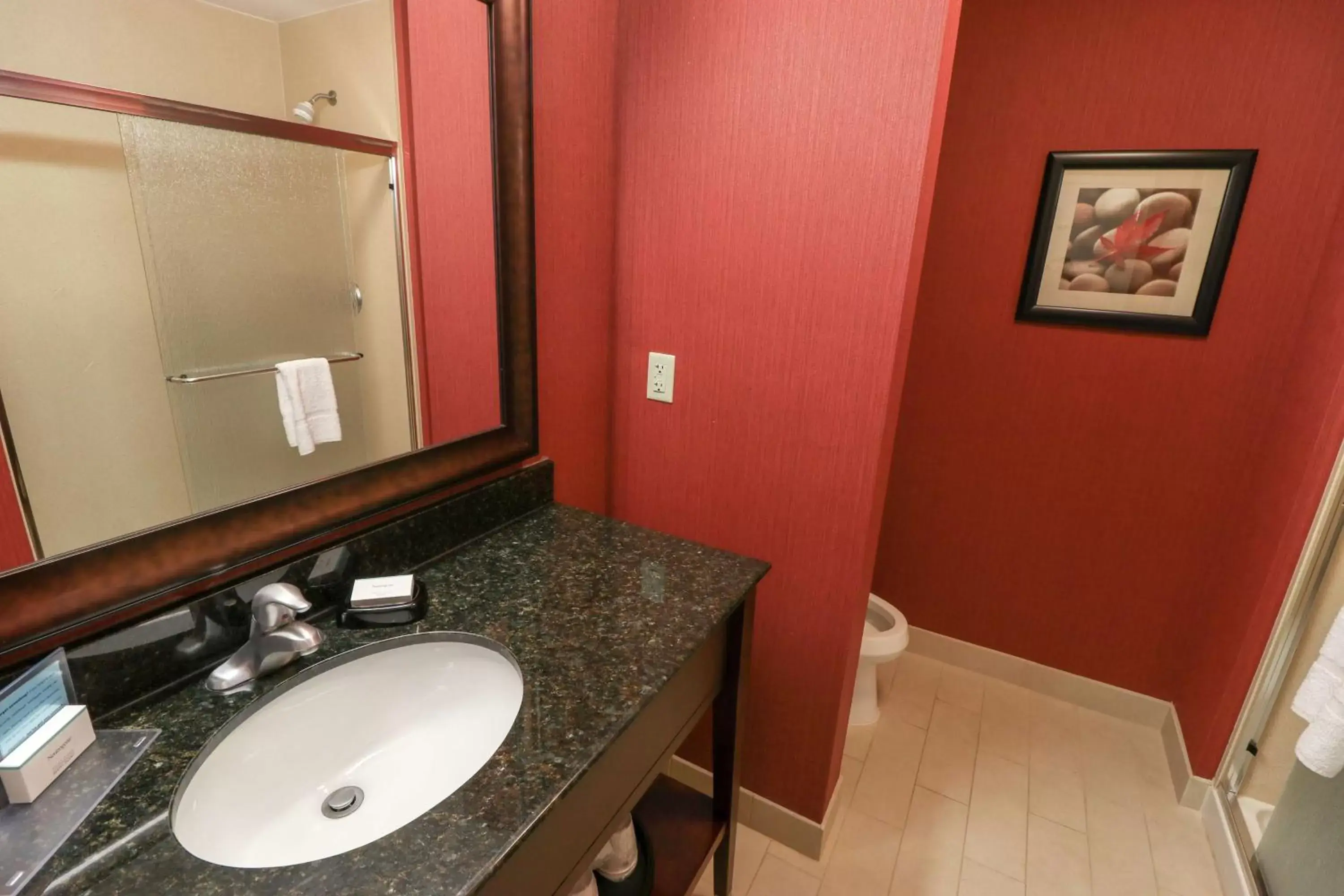 Bathroom in Hampton Inn Lincolnton