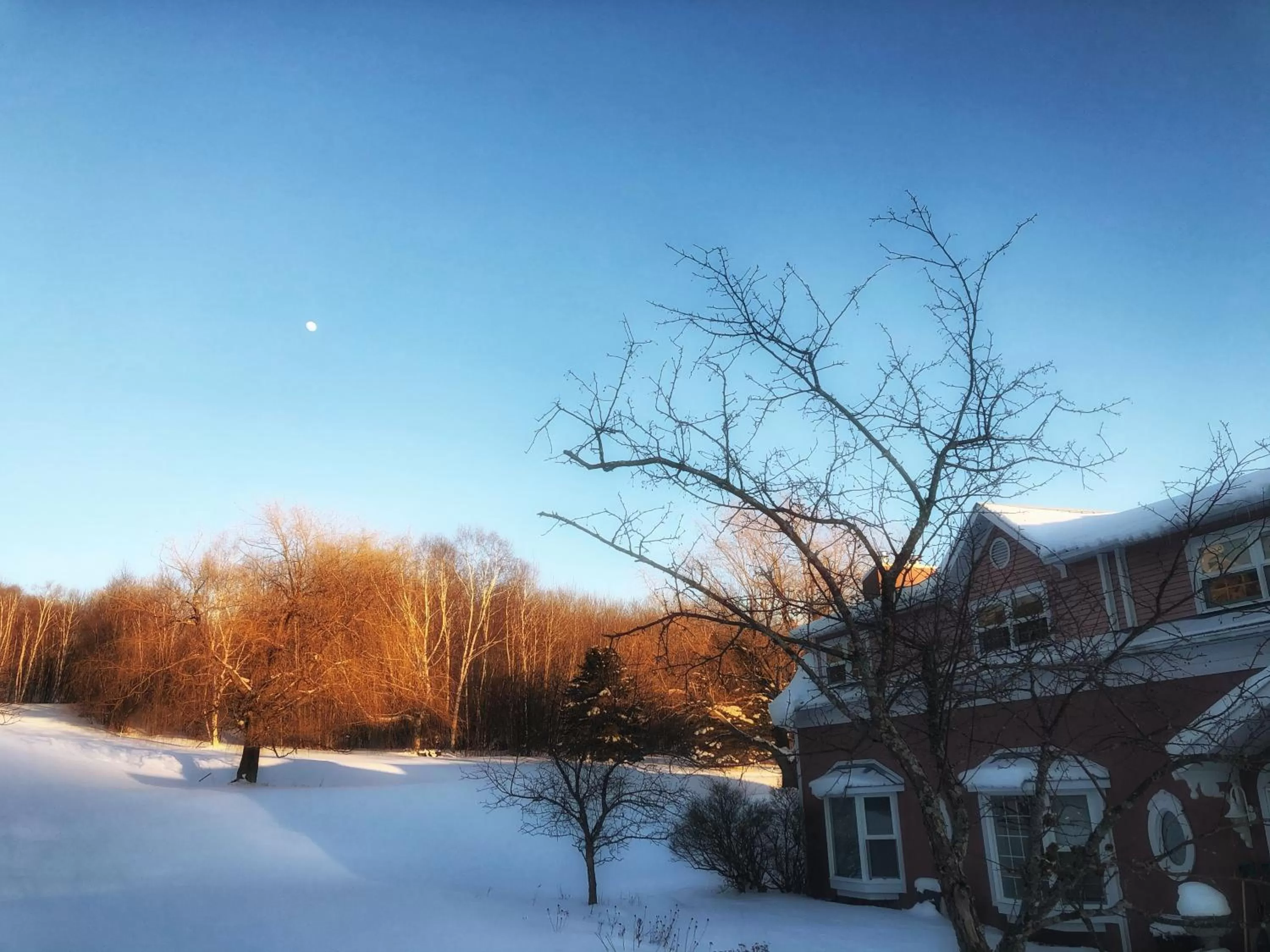 Property building in Auberge Le Tricorne