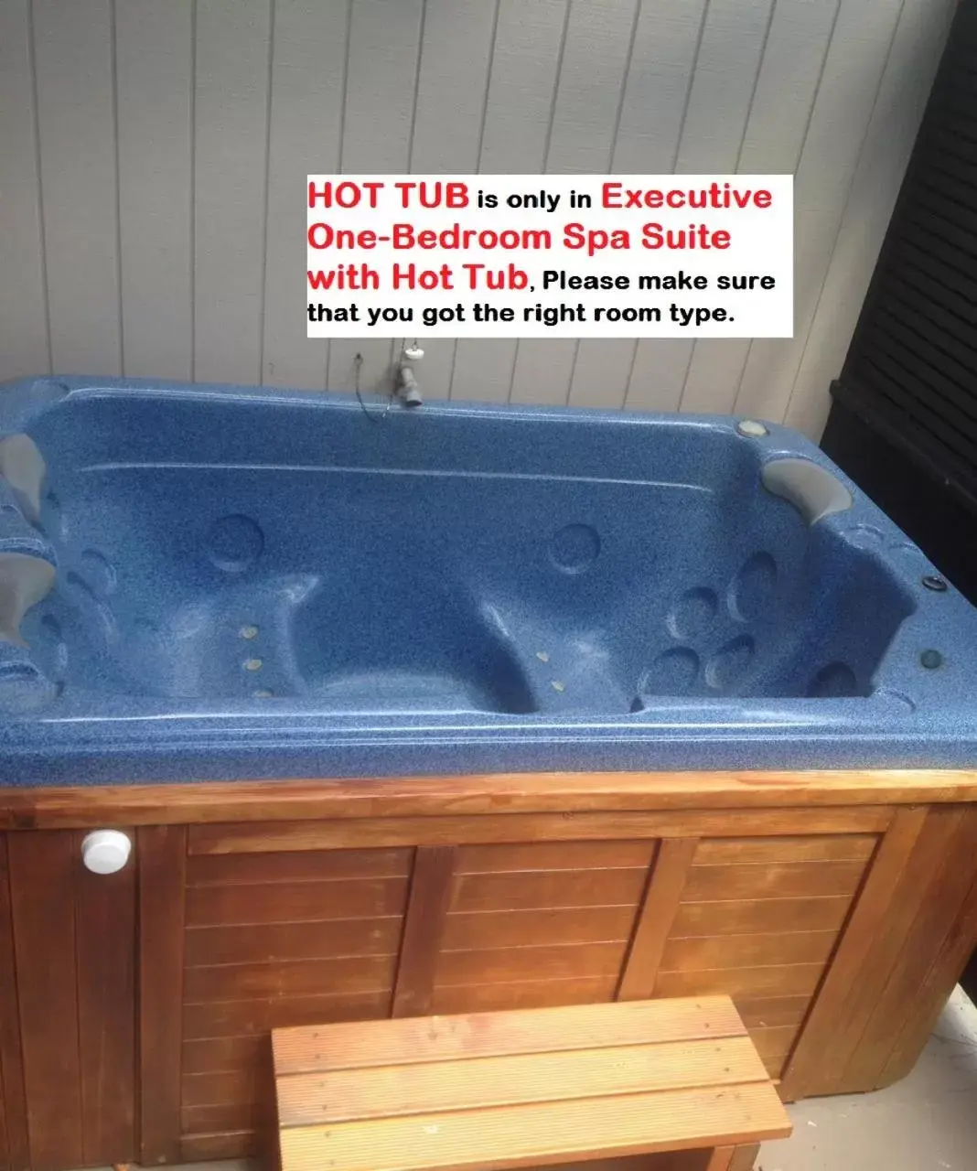 Hot Tub in Executive On Fenton