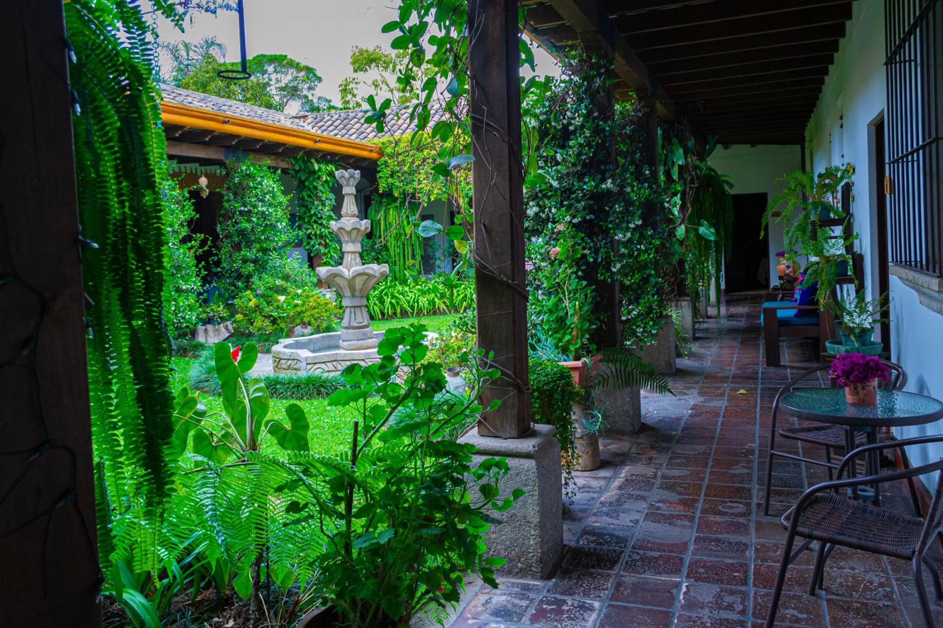 Patio in Hotel Las Marias