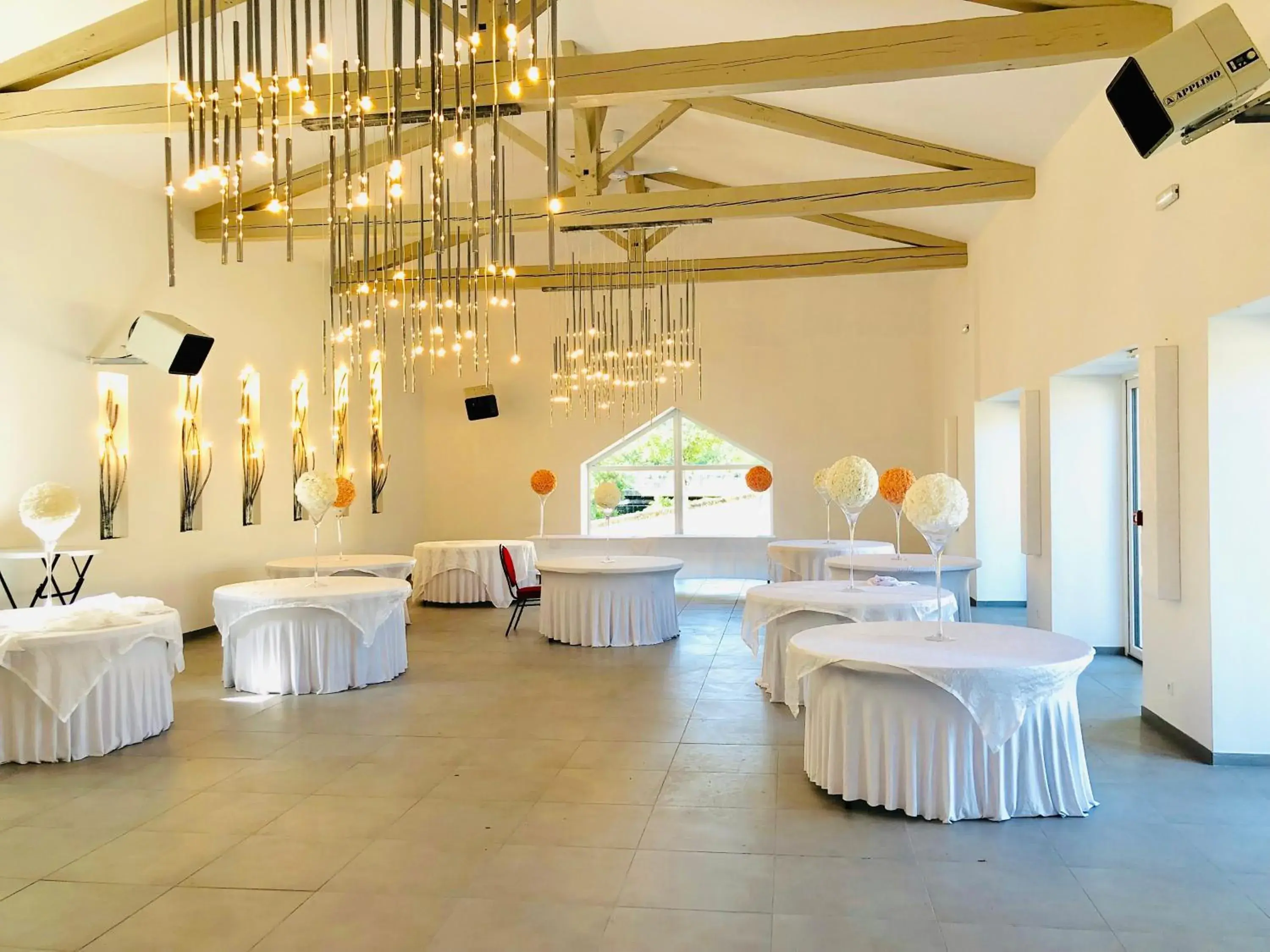 Dining area, Banquet Facilities in Pavillon Fani