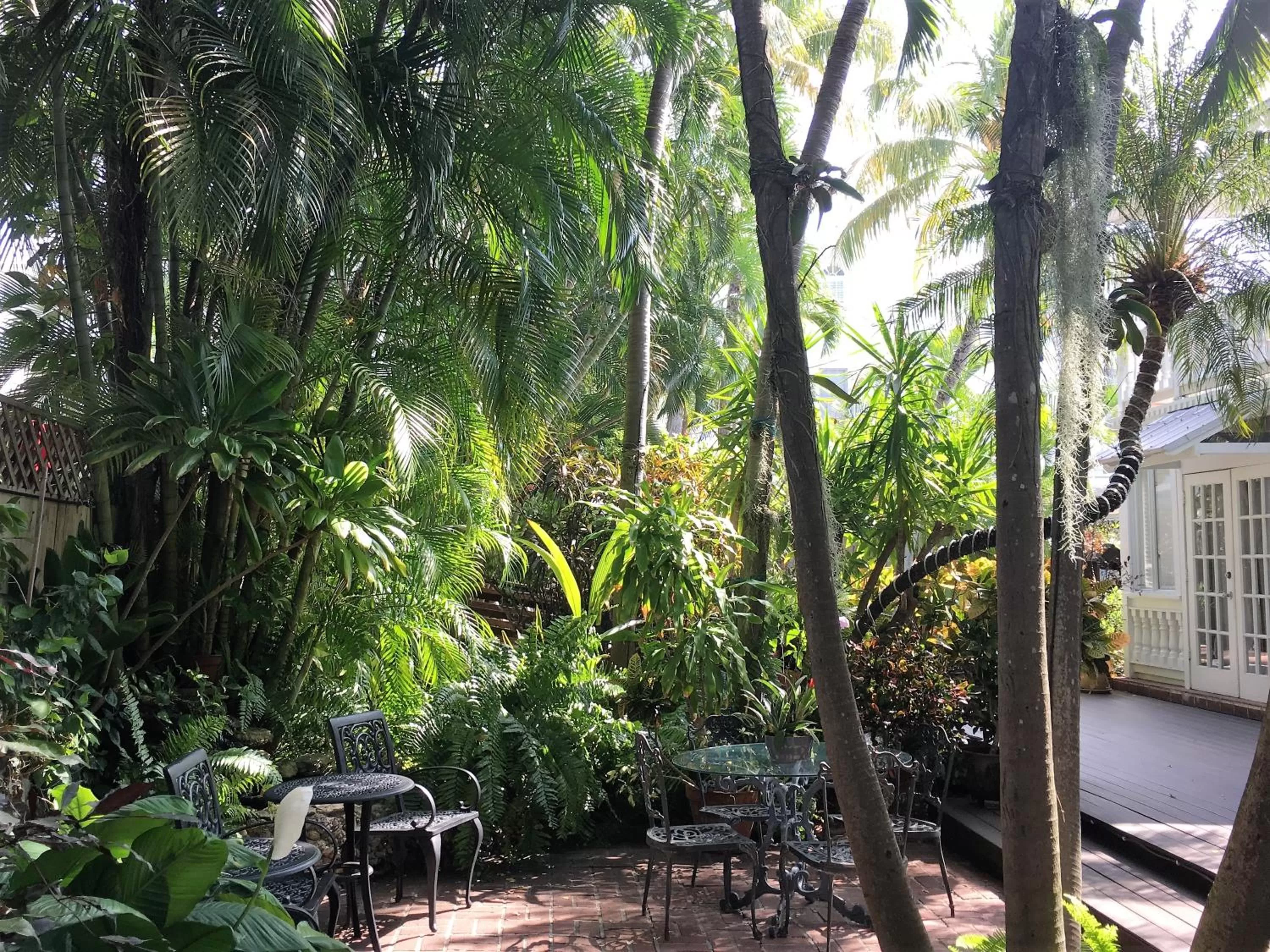 Garden in Douglas House