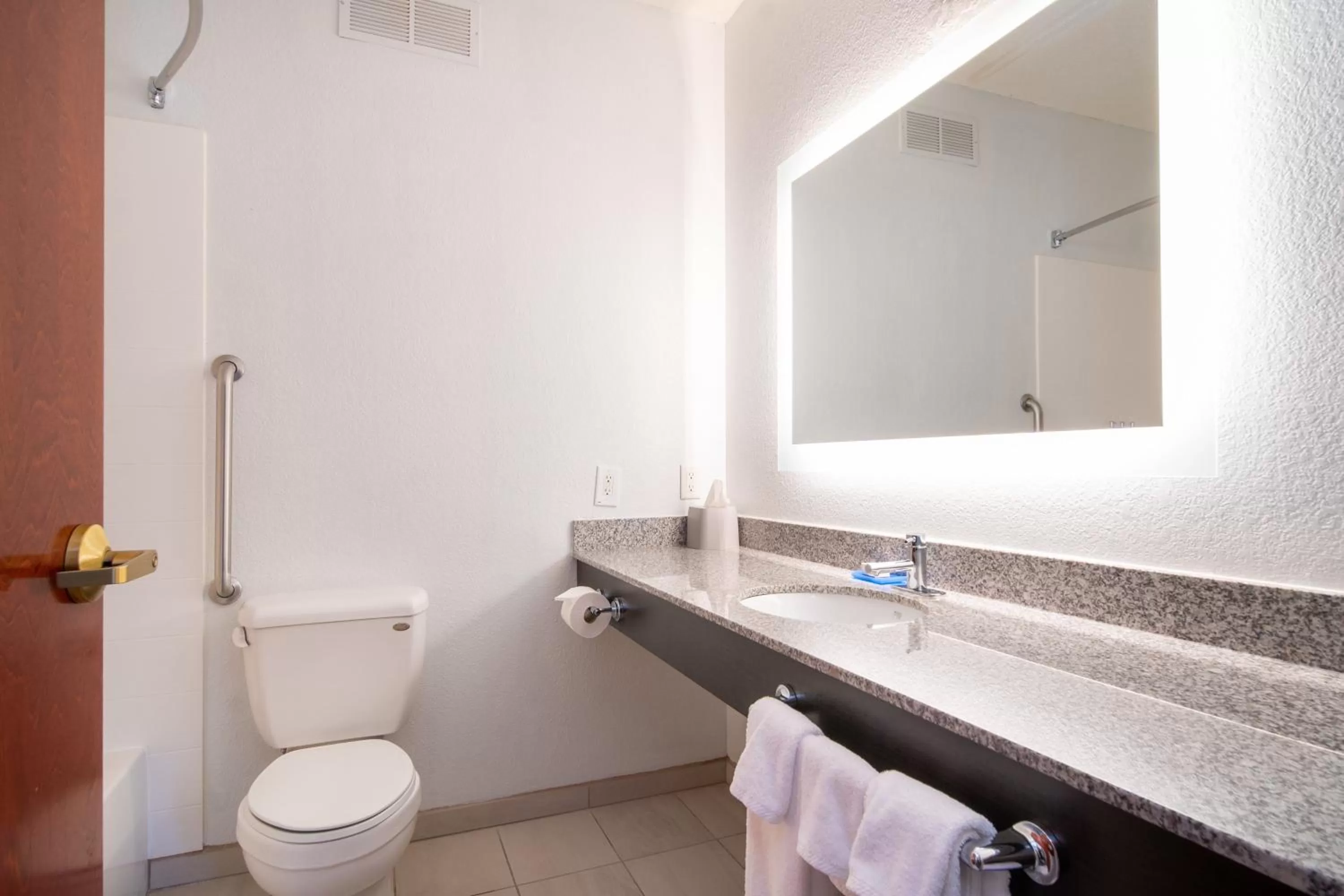 Bathroom in Holiday Inn Express Hotel & Suites Bedford by IHG