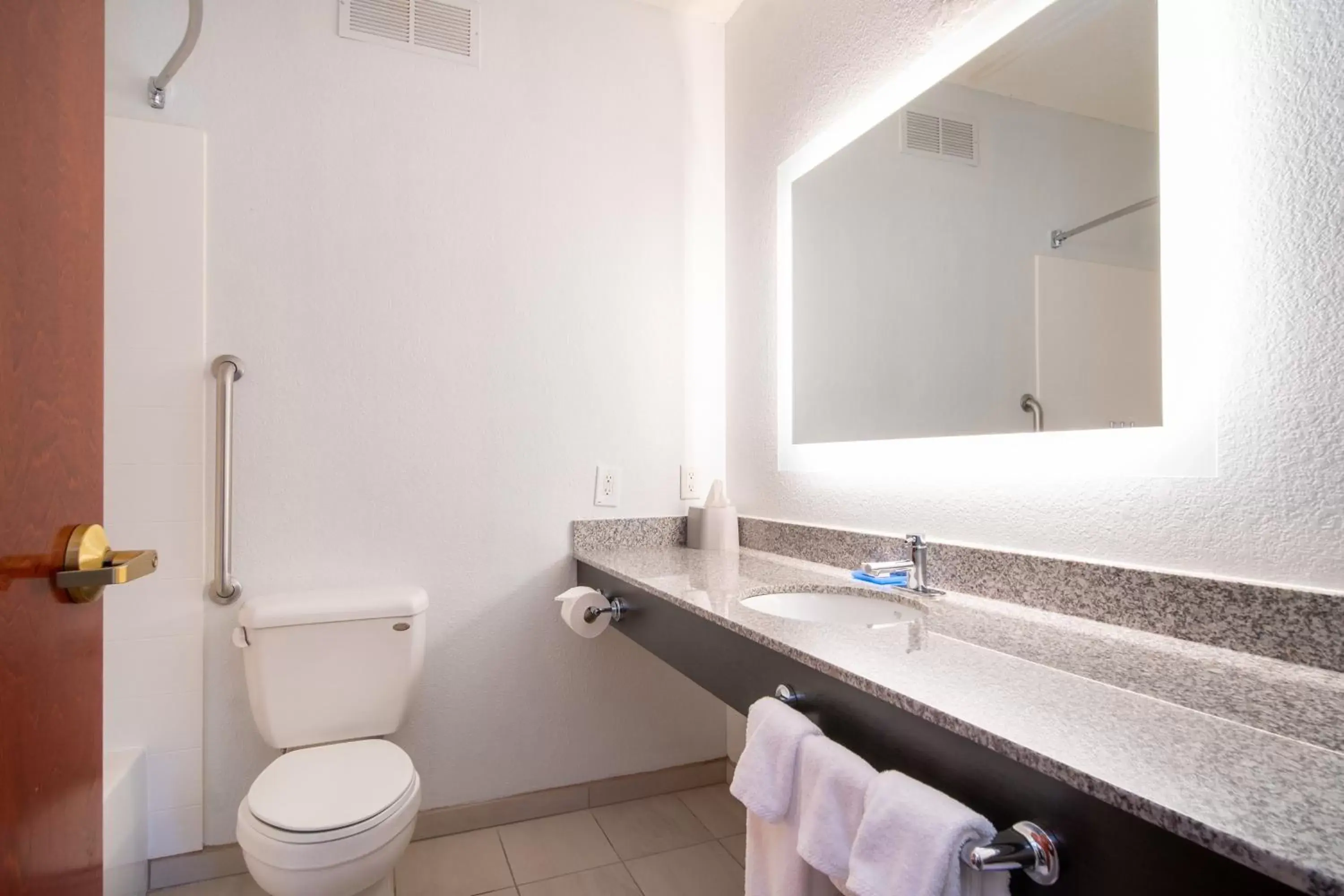 Bathroom in Holiday Inn Express Hotel & Suites Bedford, an IHG Hotel
