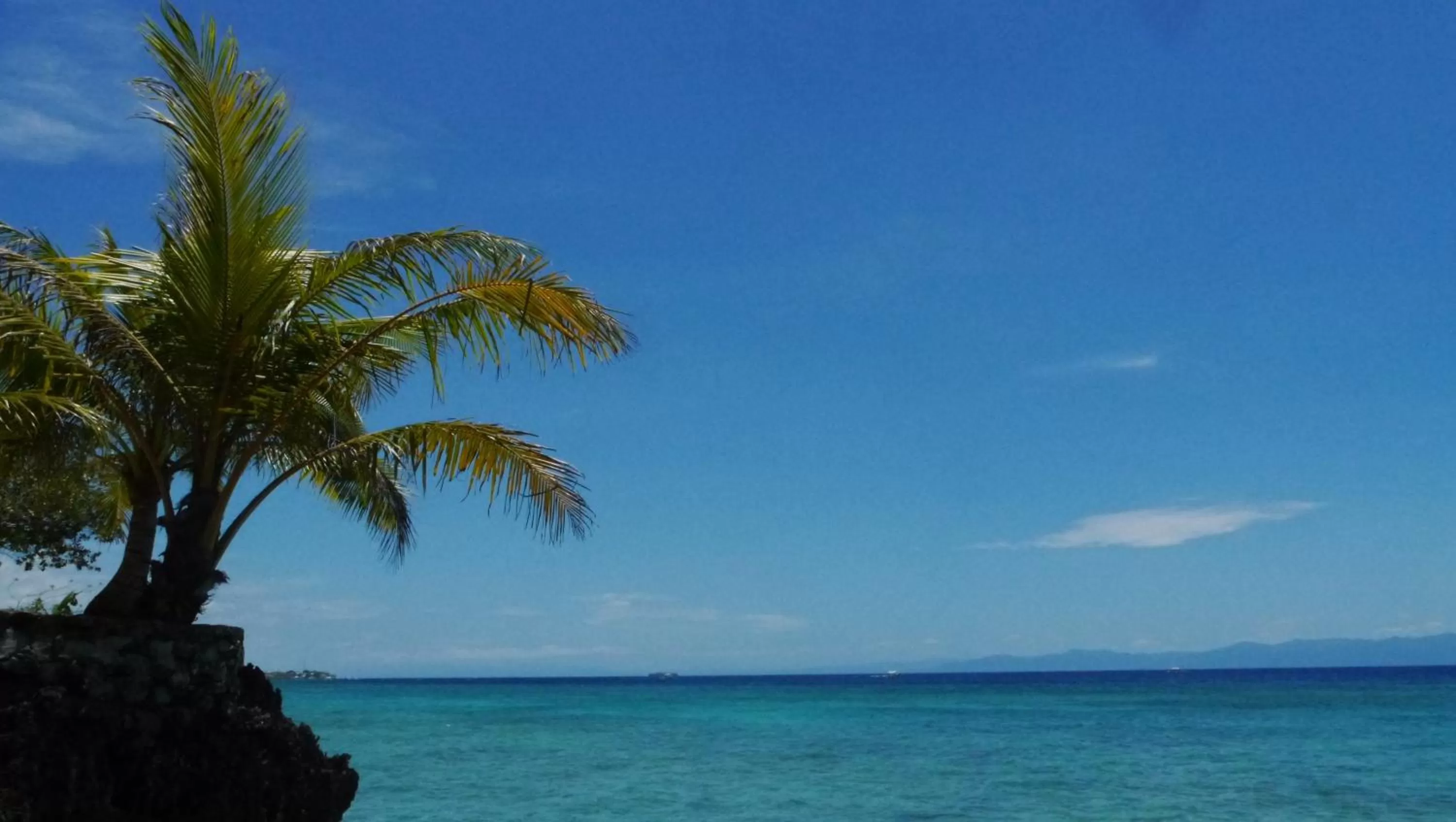 Natural landscape in Moalboal T Breeze Coastal Resort