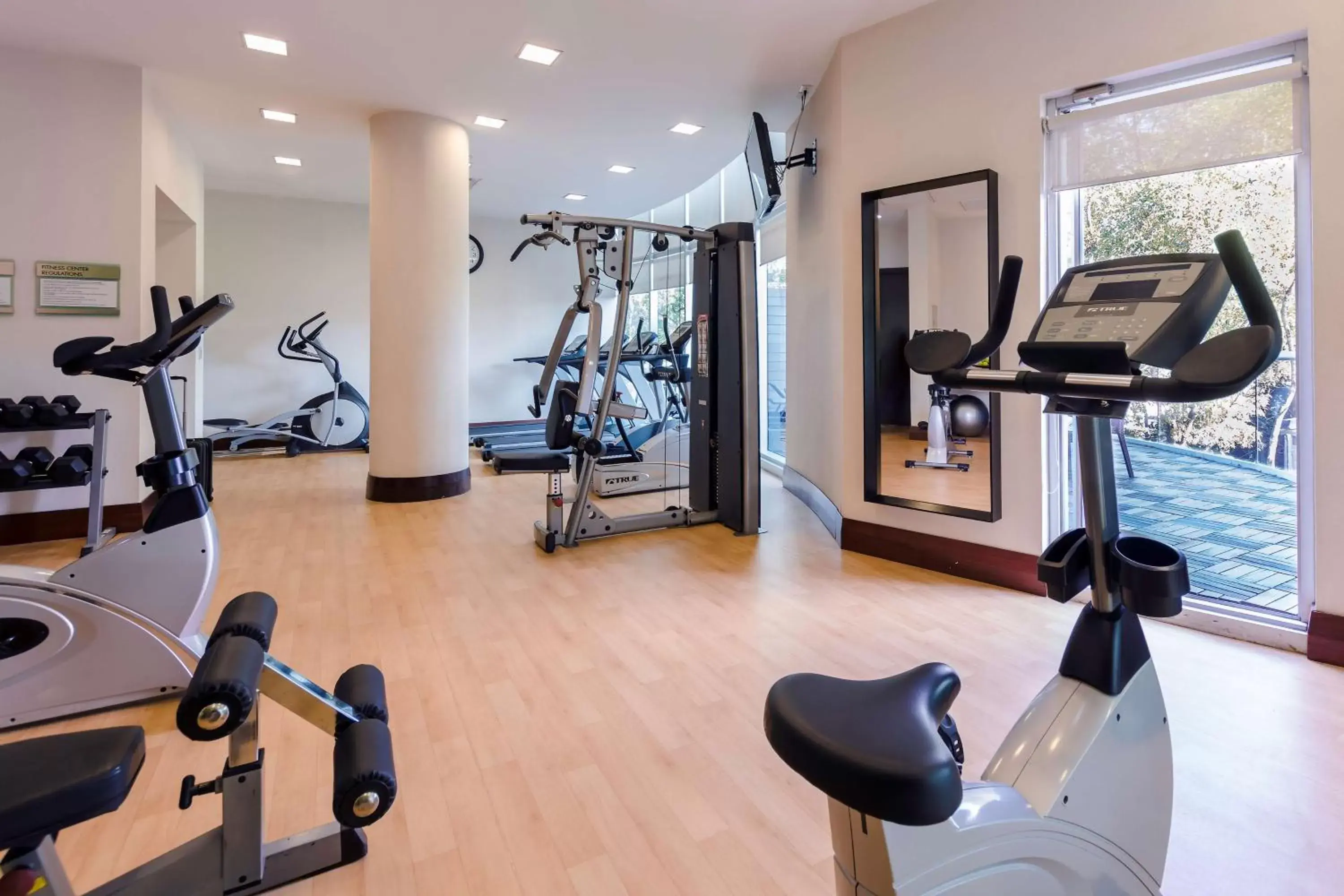 Activities, Fitness Center/Facilities in NH Collection Guadalajara Providencia