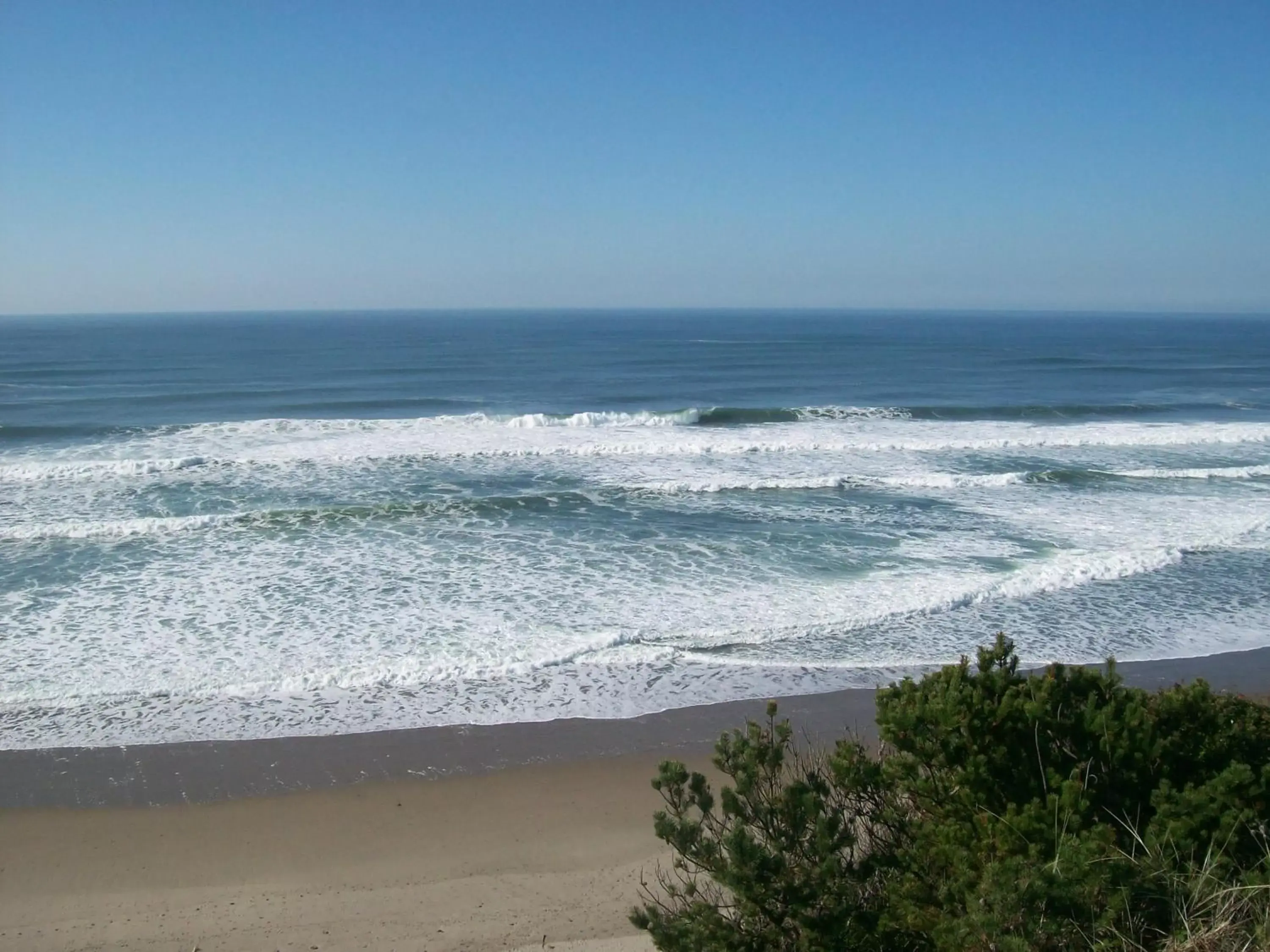 Beach in Seahorse Oceanfront Lodging