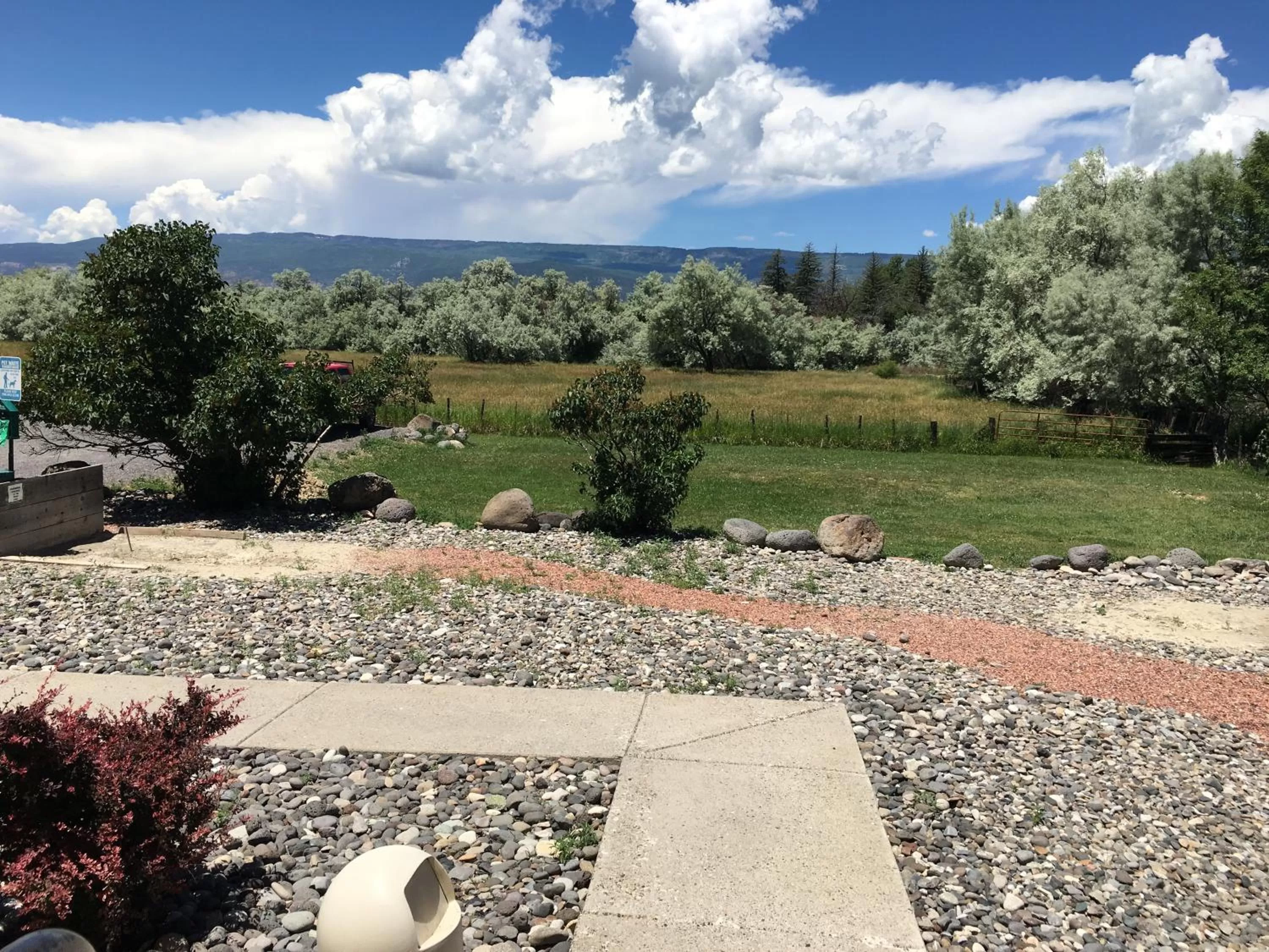 Animals in Stay Wise Inn Cedaredge