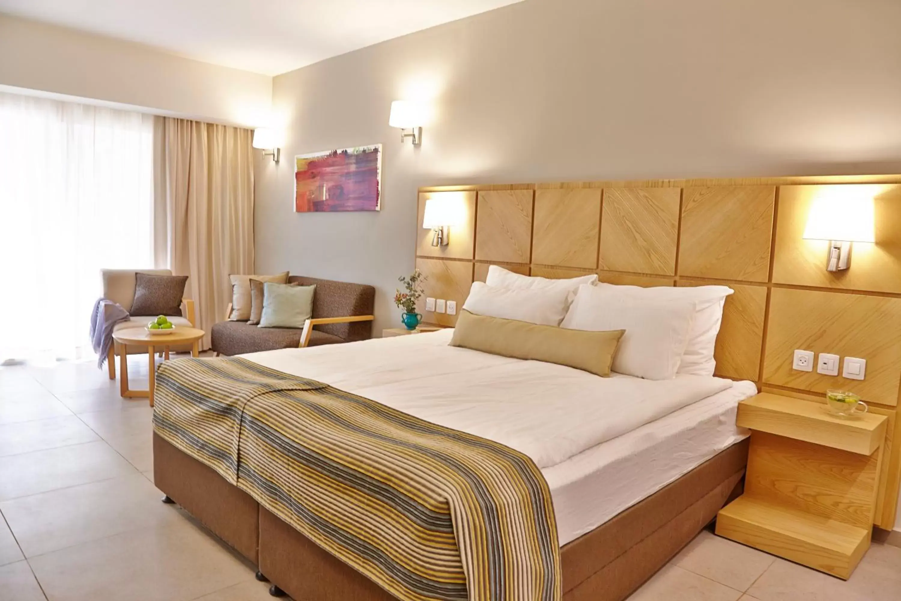 Deluxe Double or Twin Room with Terrace - single occupancy in Ein Gedi Kibbutz Hotel