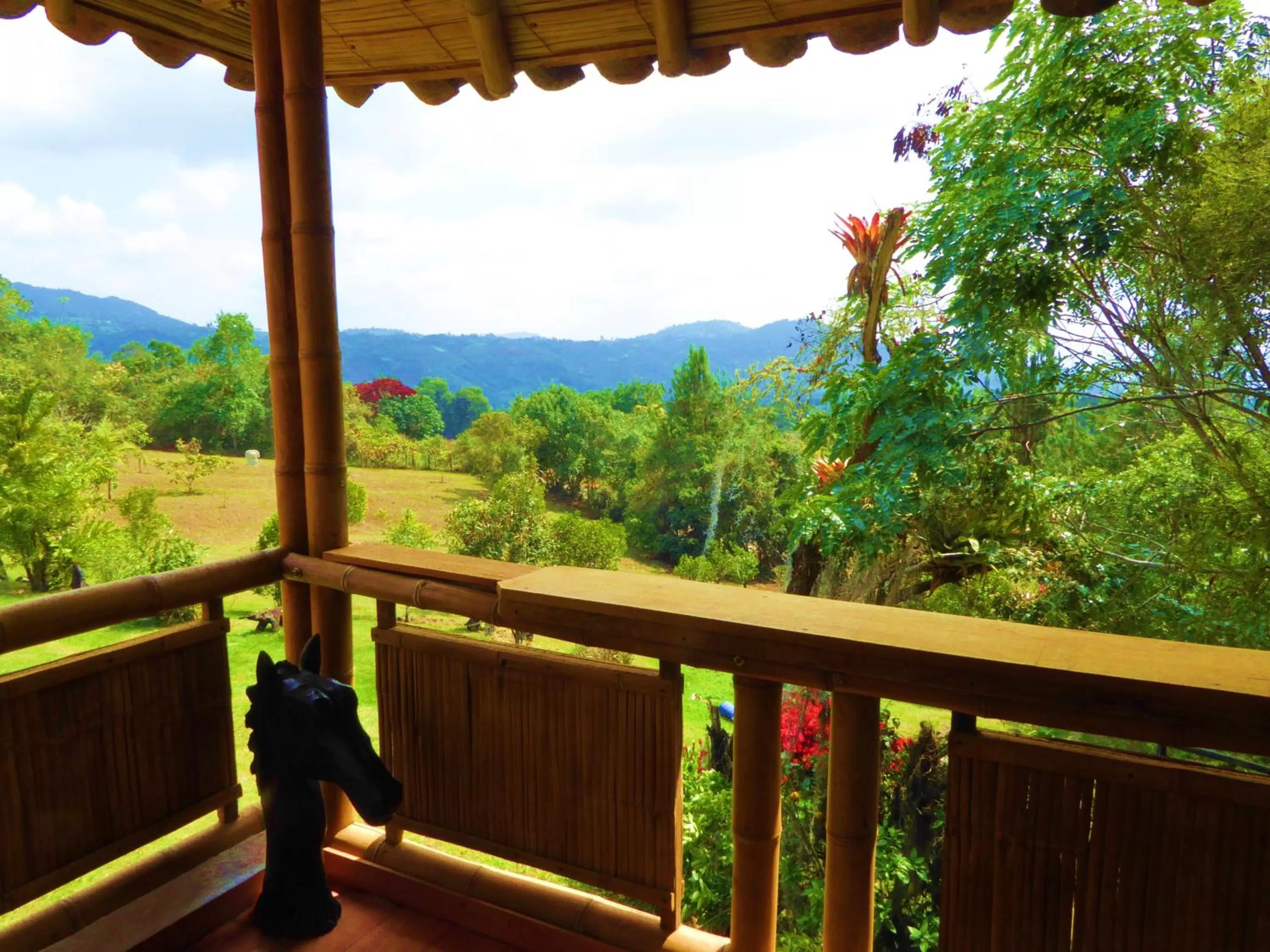 Garden view in Finca El Cielo