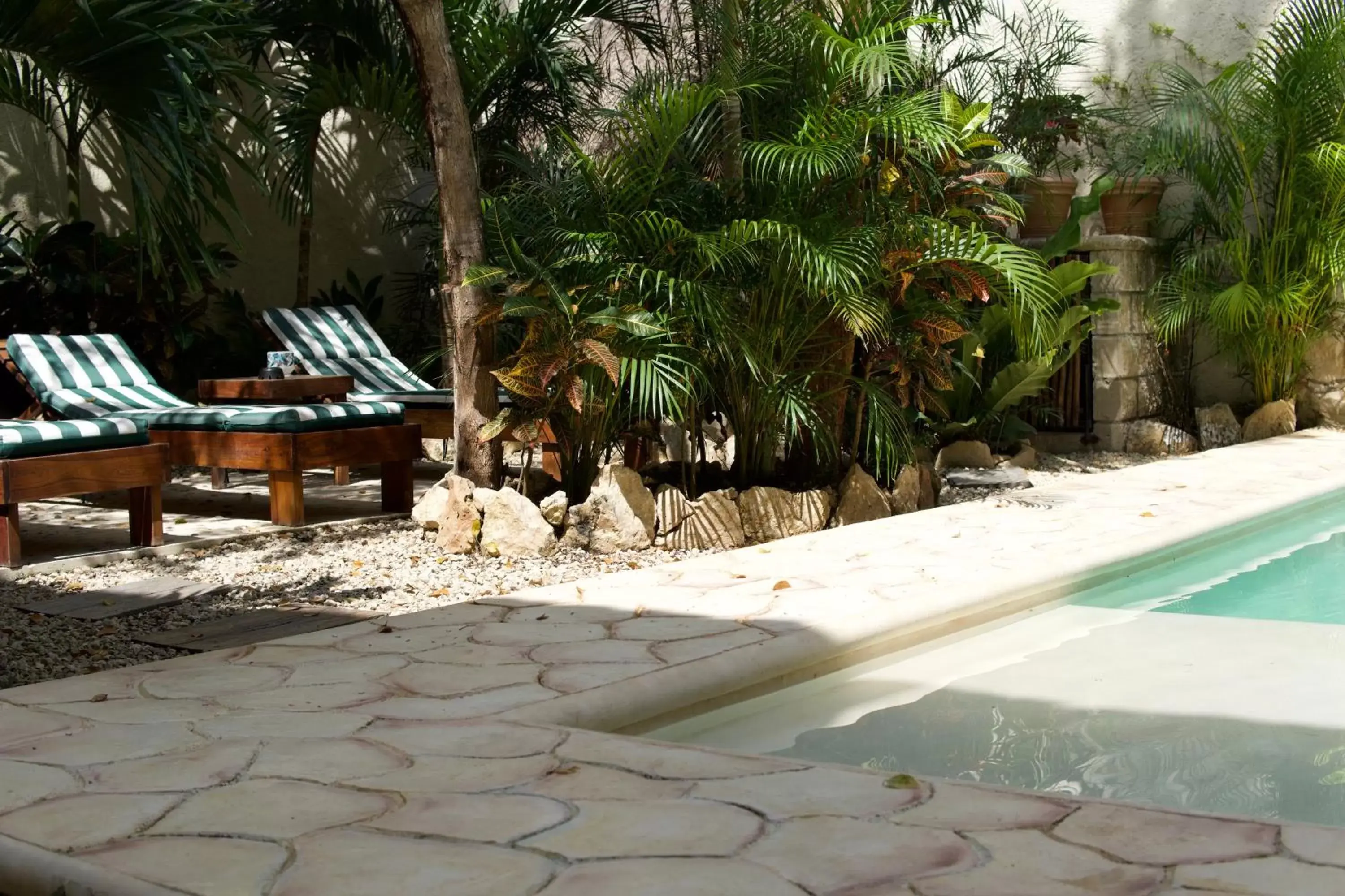 Day, Swimming Pool in Aldea San Lam - Oasis Of Tulum